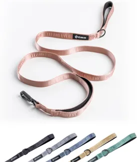 2025 New Edition, Fei & Eve Classic Dog Leash - 6FT, Dual Padded Handles, 360 Swivel Hook, Heavy Duty 210D Nylon - No-Pull Design with Traffic Control Handle - for Small/Medium/Large Dogs, Blush