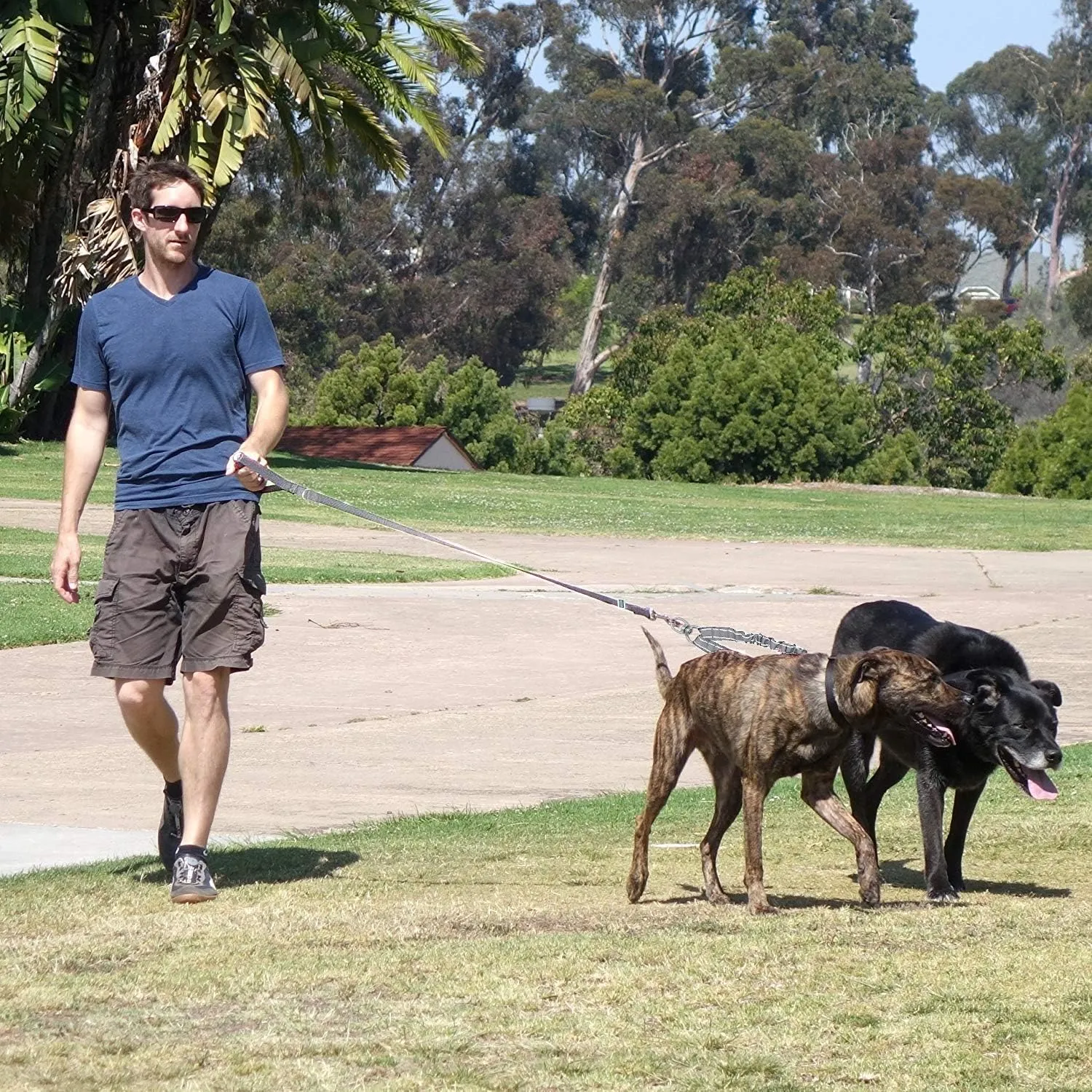 3 Dog Leash No Tangle Heavy Duty Detachable 360 Swivel Device Multiple Dog Leash with Padded Handle for Two/Three Pets (6-40 Lbs)