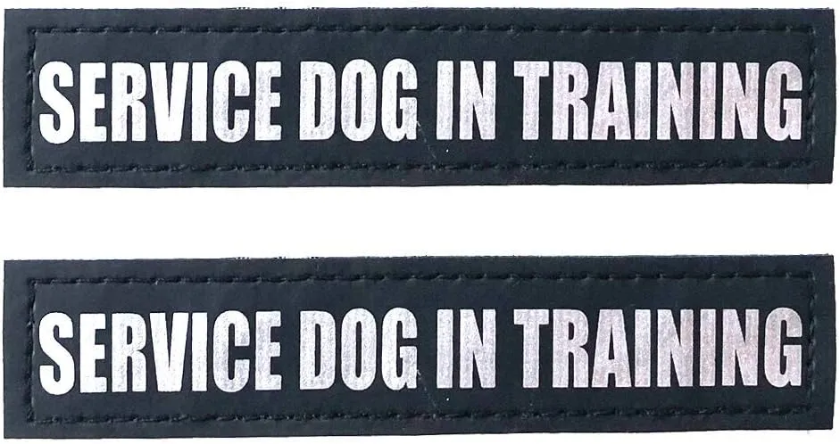 Albcorp Reflective Service Dog In Training Patches with Hook and Loop Backing for Service Animal Vests /Harnesses XXS or Extra Small (3.5 X 1) Inch