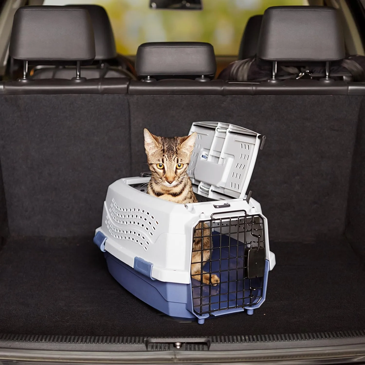 Amazon Basics 2-Door Top-Load Hard-Sided Cat Pet Travel Carrier, 19.0" L x 12.6" W x 10.0" H, Gray & Blue