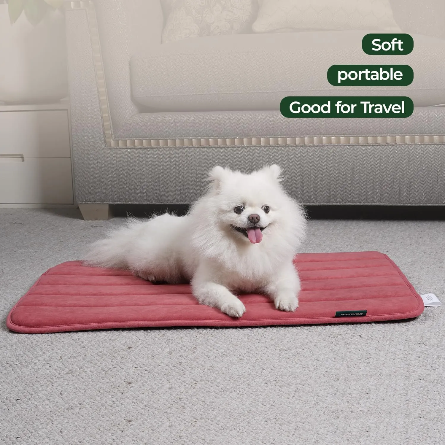 BALANCE Dog Crate Pad, Dog Foam Crate Mat Kennel Pad, Washable Water-Resistant Pet Bed Flat Dogs Cage Mat for Medium Dogs