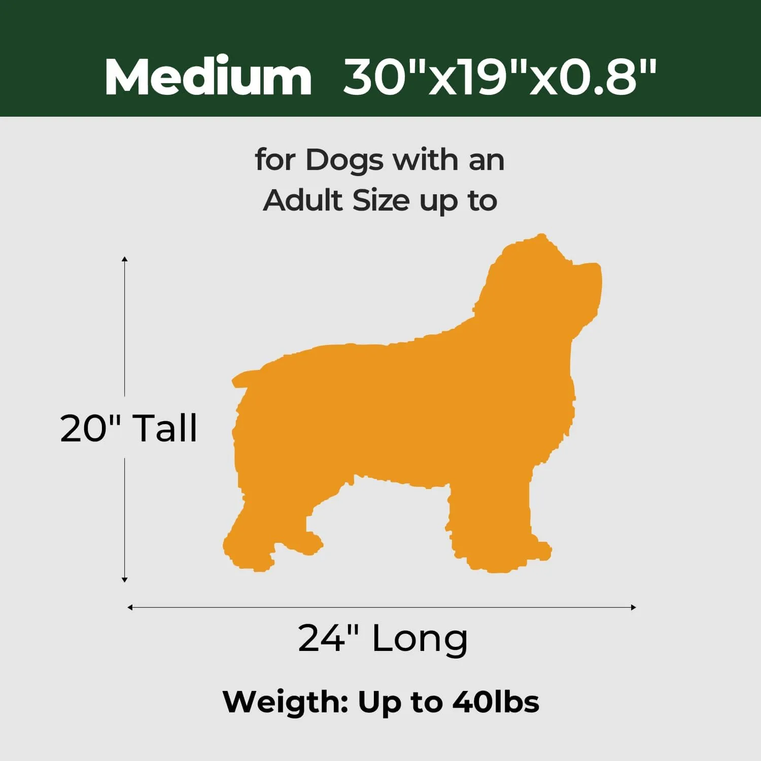 BALANCE Dog Crate Pad, Dog Foam Crate Mat Kennel Pad, Washable Water-Resistant Pet Bed Flat Dogs Cage Mat for Medium Dogs