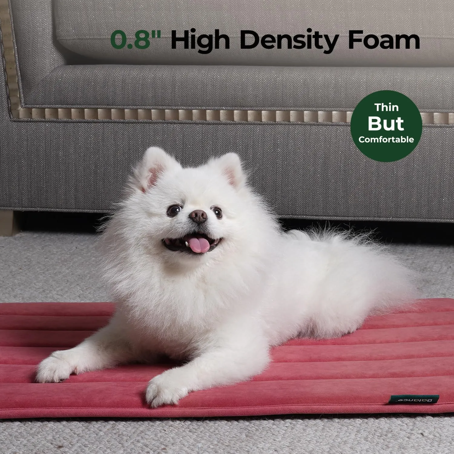 BALANCE Dog Crate Pad, Dog Foam Crate Mat Kennel Pad, Washable Water-Resistant Pet Bed Flat Dogs Cage Mat for Medium Dogs