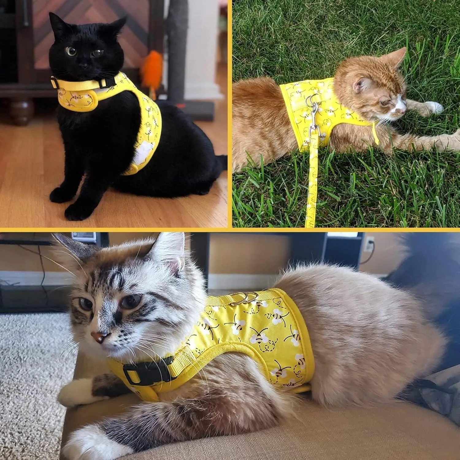BINGPET Cat Harness with Leash and Collar for Walking - Escape Proof with 59 Inches Leash - Adjustable Soft Vest Harnesses for Medium Large Cats Bee