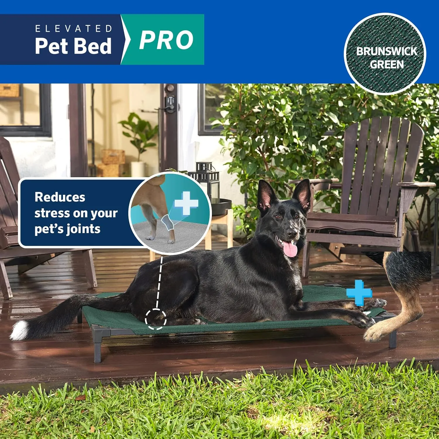 Coolaroo Pro Elevated Dog Bed - Low-Profile Access, Moisture-Resistant Cover, Breathable Fabric & Tool-Free Setup, Brunswick Green, Standard