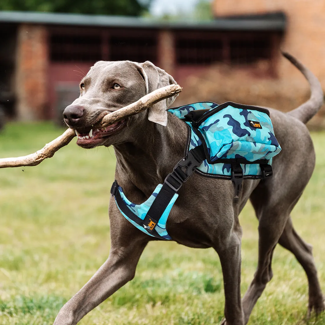 Dog Backpack Harness Pet Carrier Saddle Bag Reflective Adjustable Outdoor Hiking