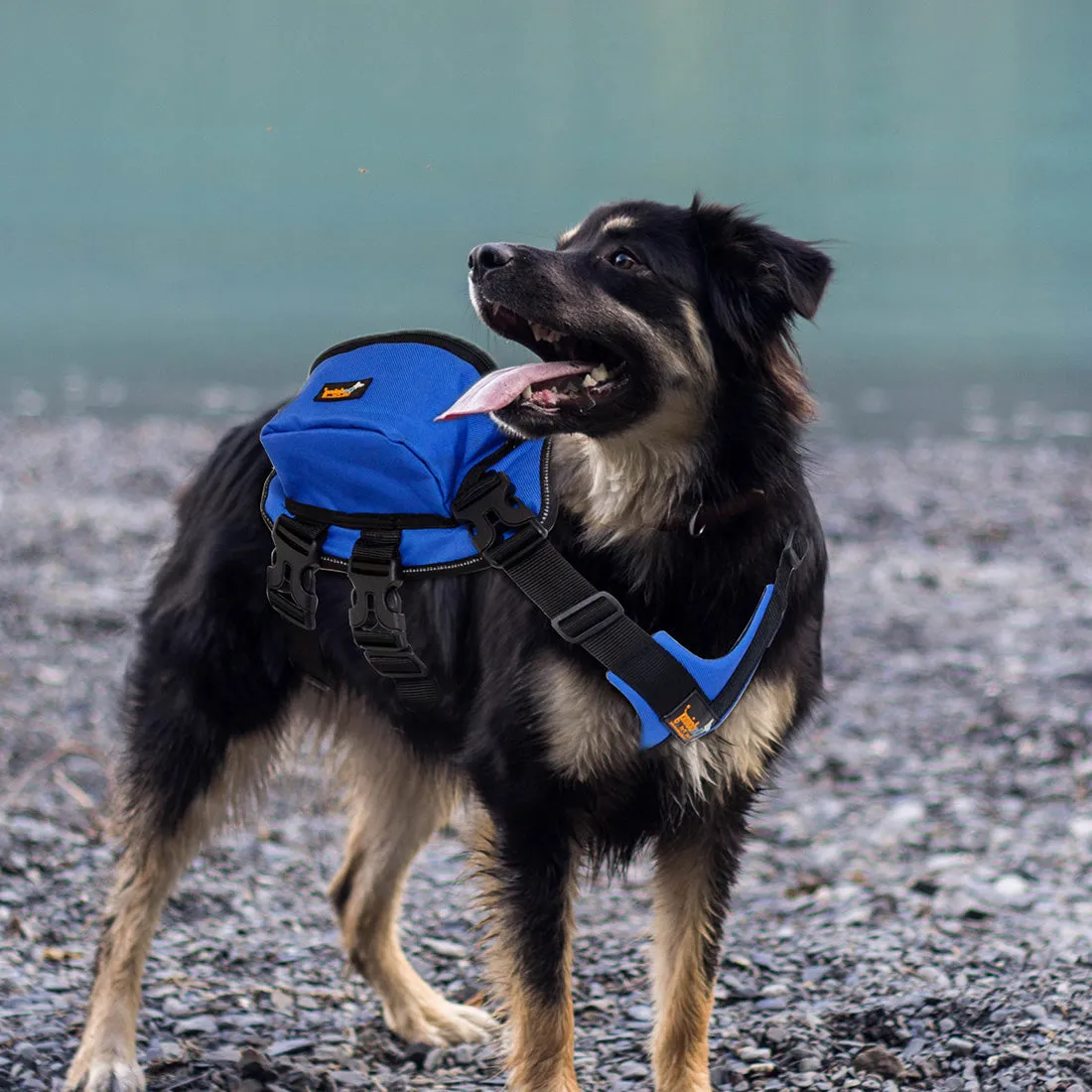 Dog Backpack Harness Pet Carrier Saddle Bag Reflective Adjustable Outdoor Hiking
