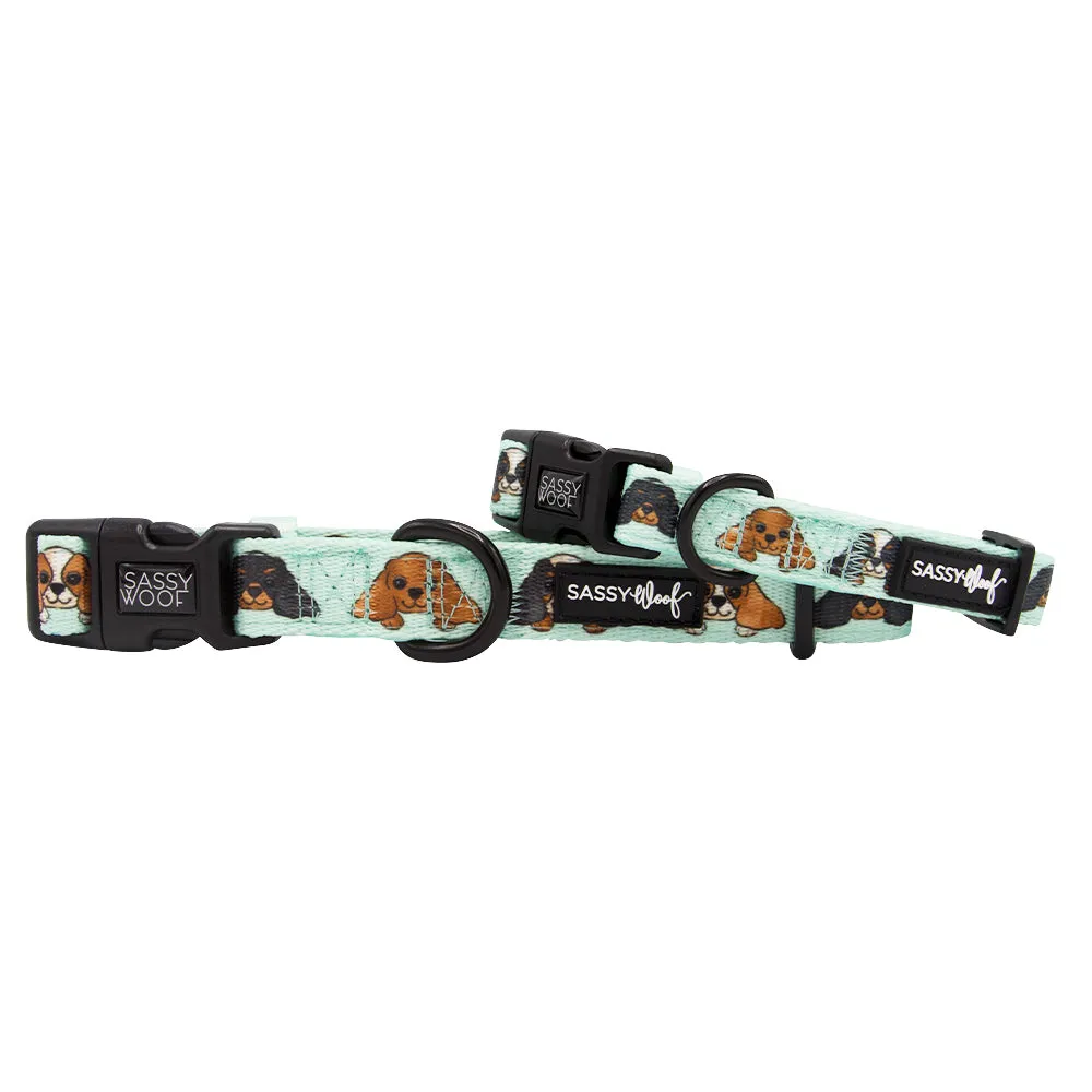 Dog Collar - Classy Cavs