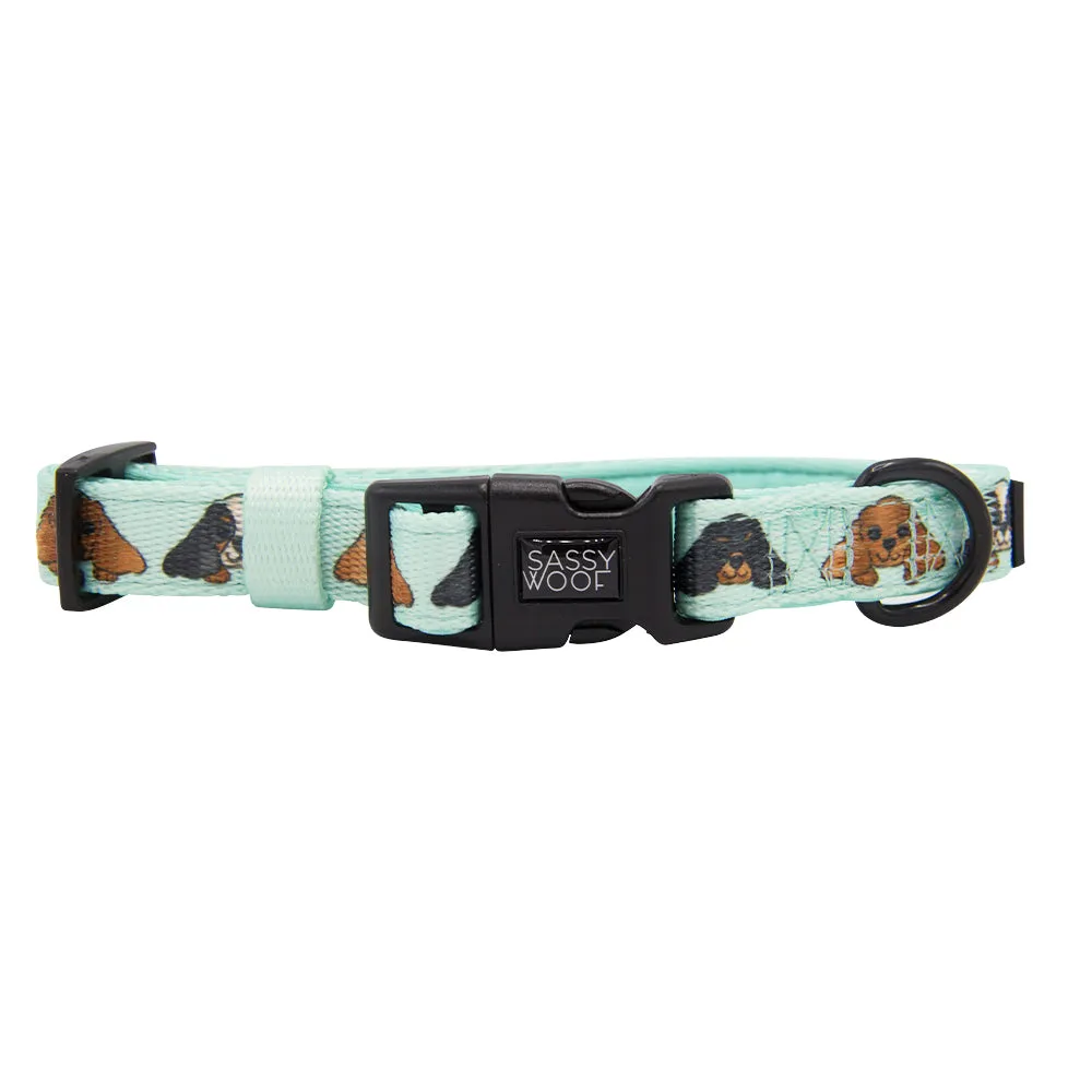 Dog Collar - Classy Cavs