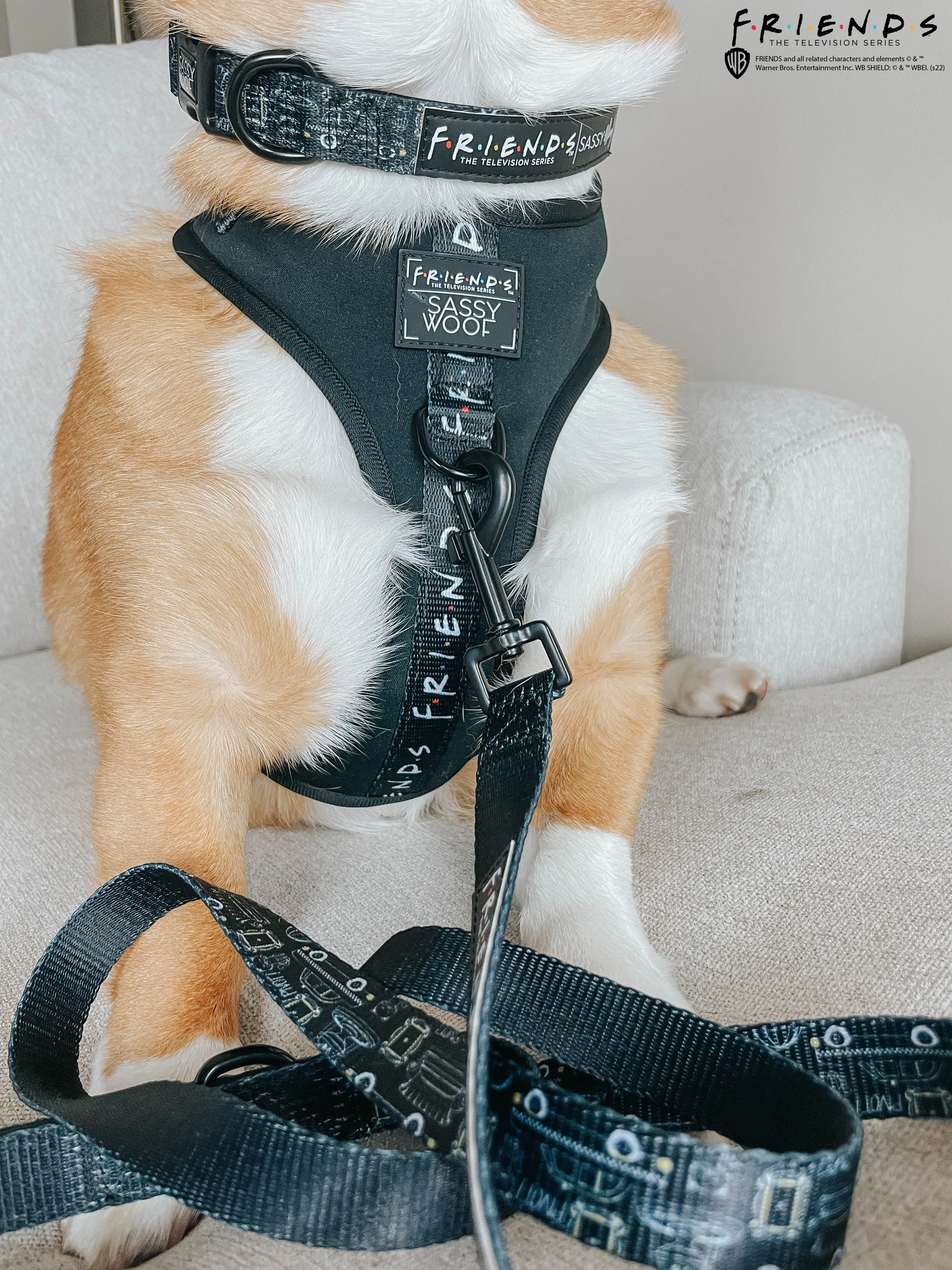 Dog Collar - Friends™ (Black)