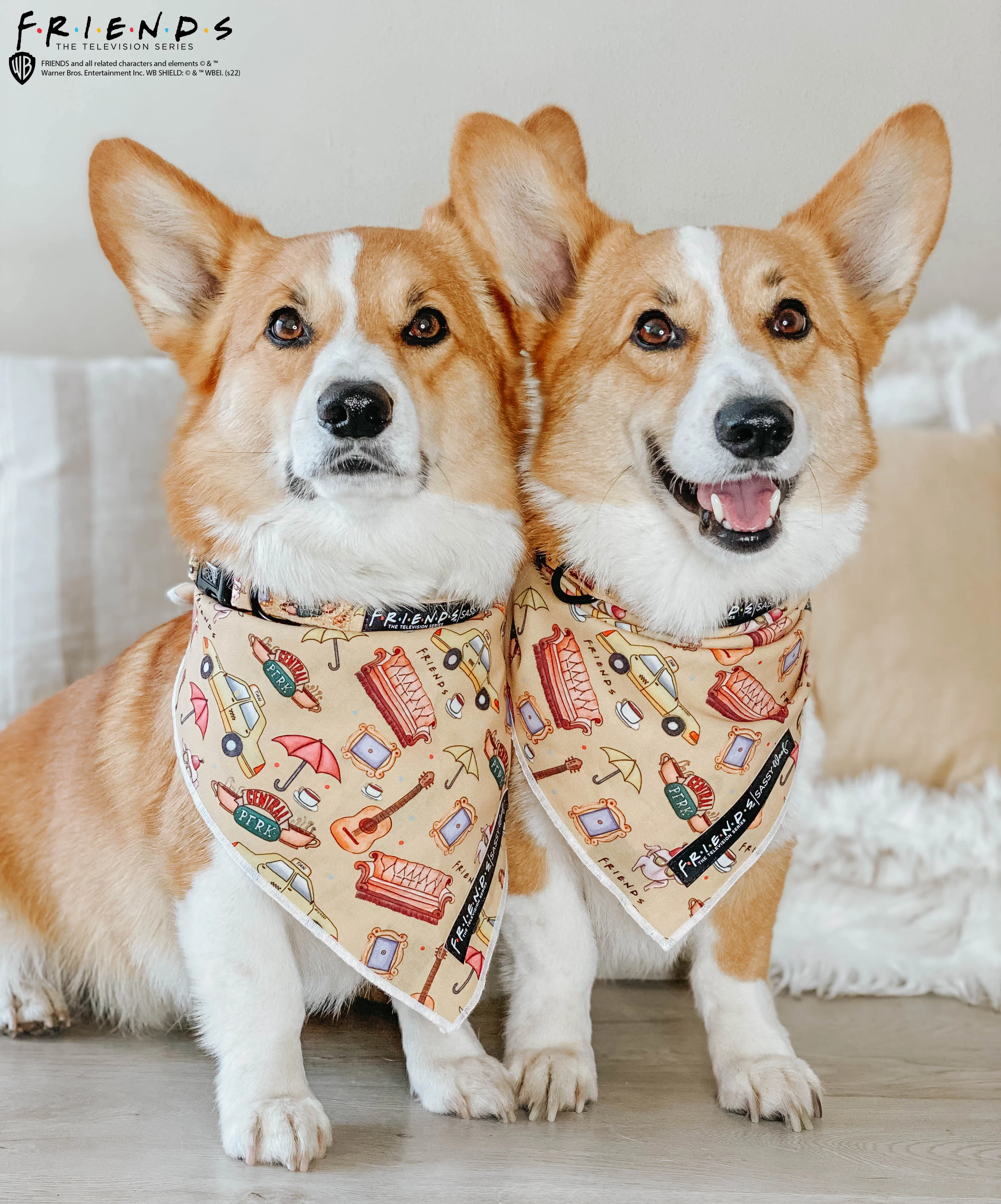 Dog Collar - Friends™ (Yellow)