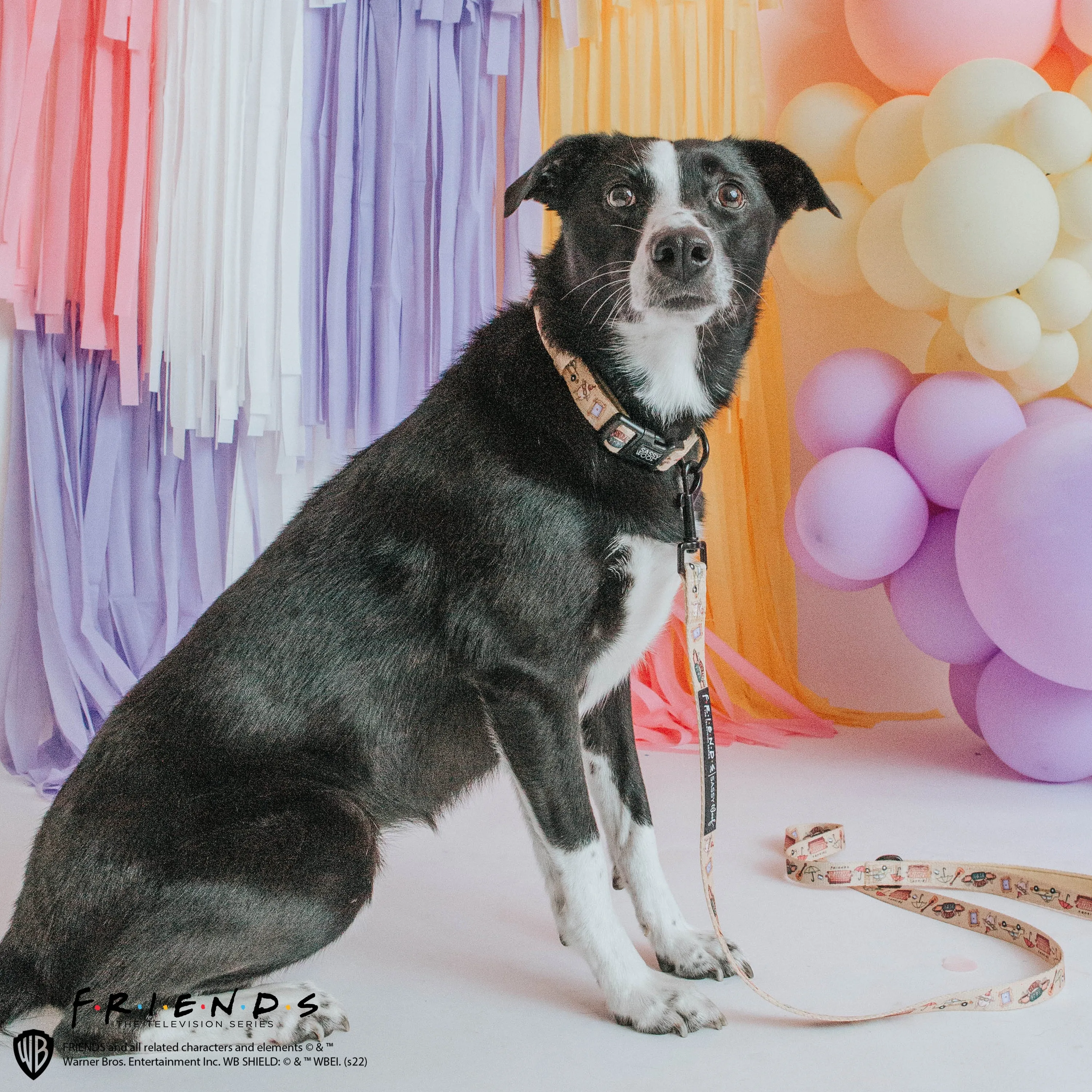Dog Collar - Friends™ (Yellow)