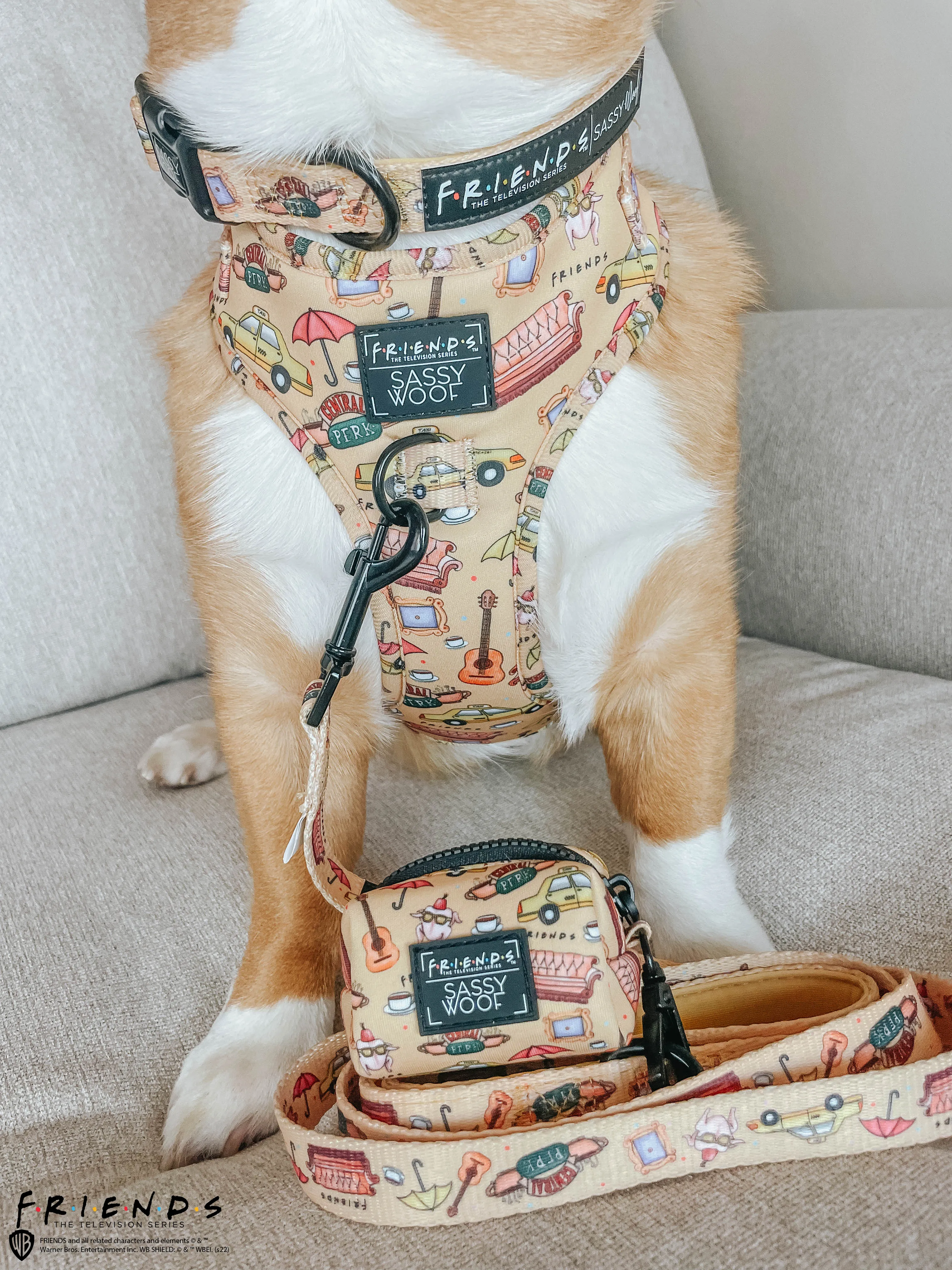 Dog Collar - Friends™ (Yellow)