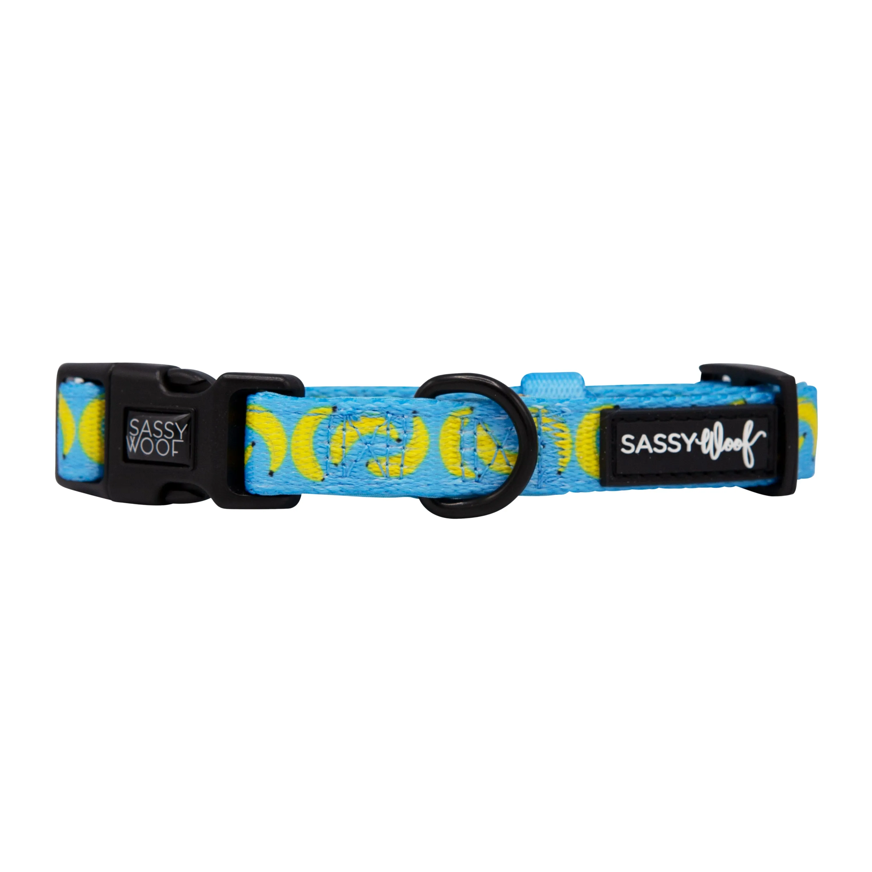Dog Collar - Peeling Sassy