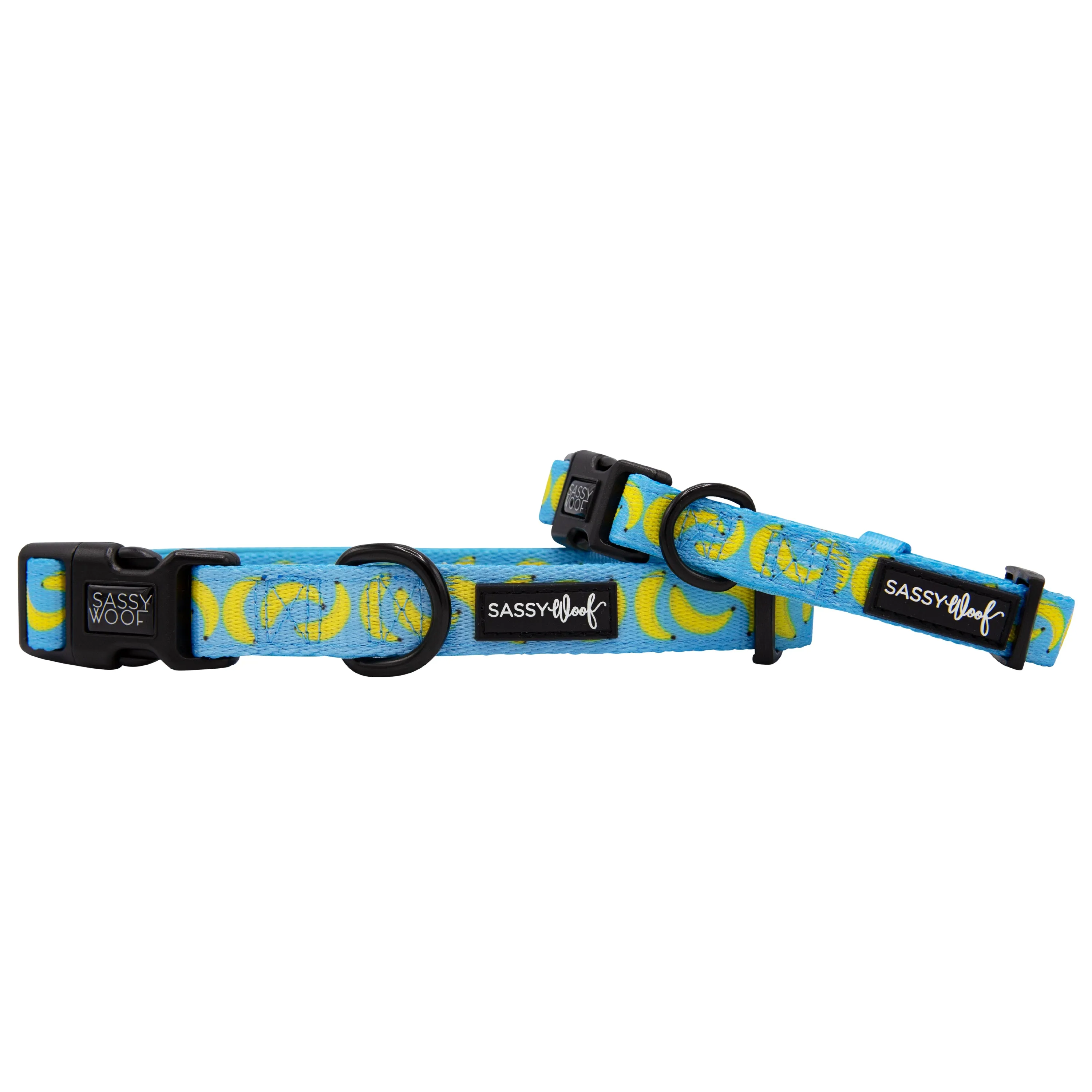 Dog Collar - Peeling Sassy