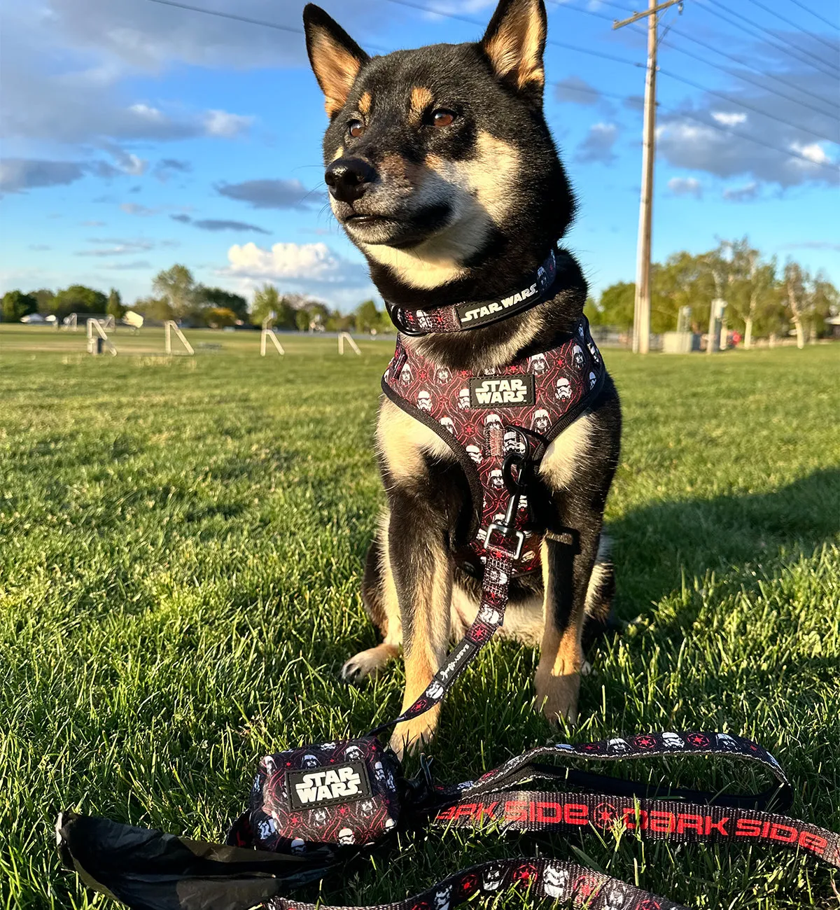 Dog Collar - STAR WARS™ The Dark Side