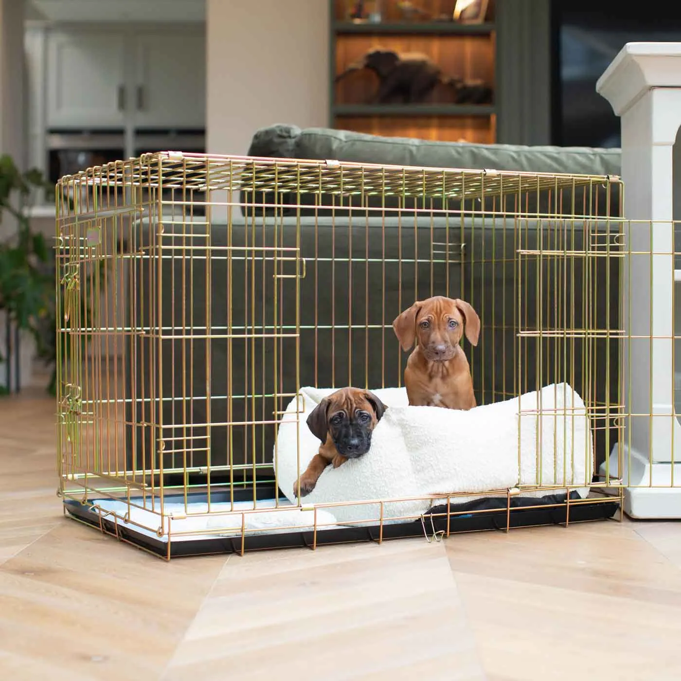 Dog Crate with Cosy & Calming Puppy Crate Bed in Ivory Bouclé by Lords & Labradors