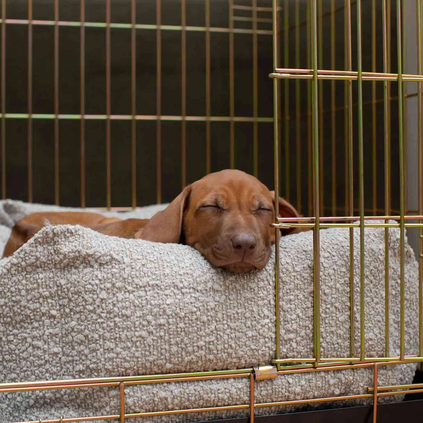 Dog Crate with Cosy & Calming Puppy Crate Bed in Mink Bouclé by Lords & Labradors
