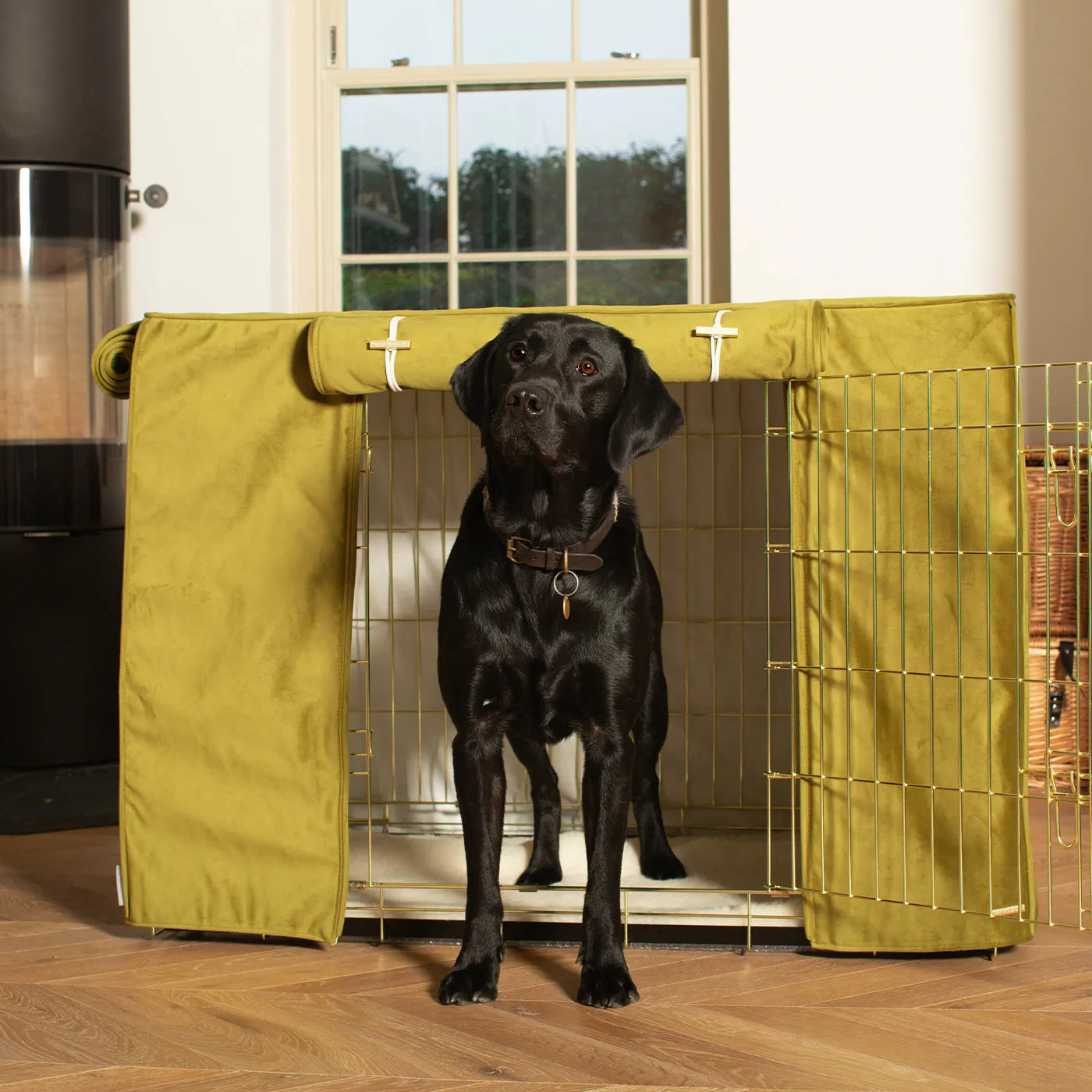 Dog Crate with Crate Cover in Olive Velvet by Lords & Labradors