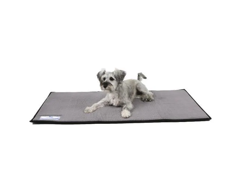Dog Day Mat (Large) Memory Foam
