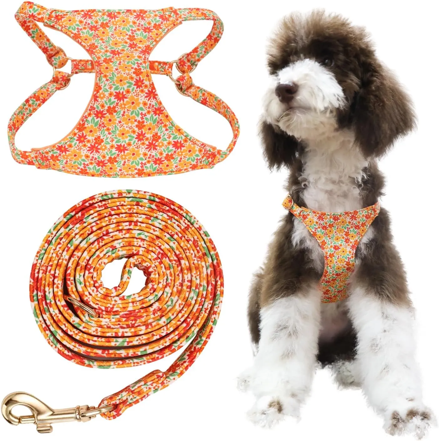 Dog Harness and Leash Set, Adjustable Soft Comfortable No Choke Dog Vest Harness with Leash, No Pull Floral Puppy Dog Harness for Small Medium Dogs
