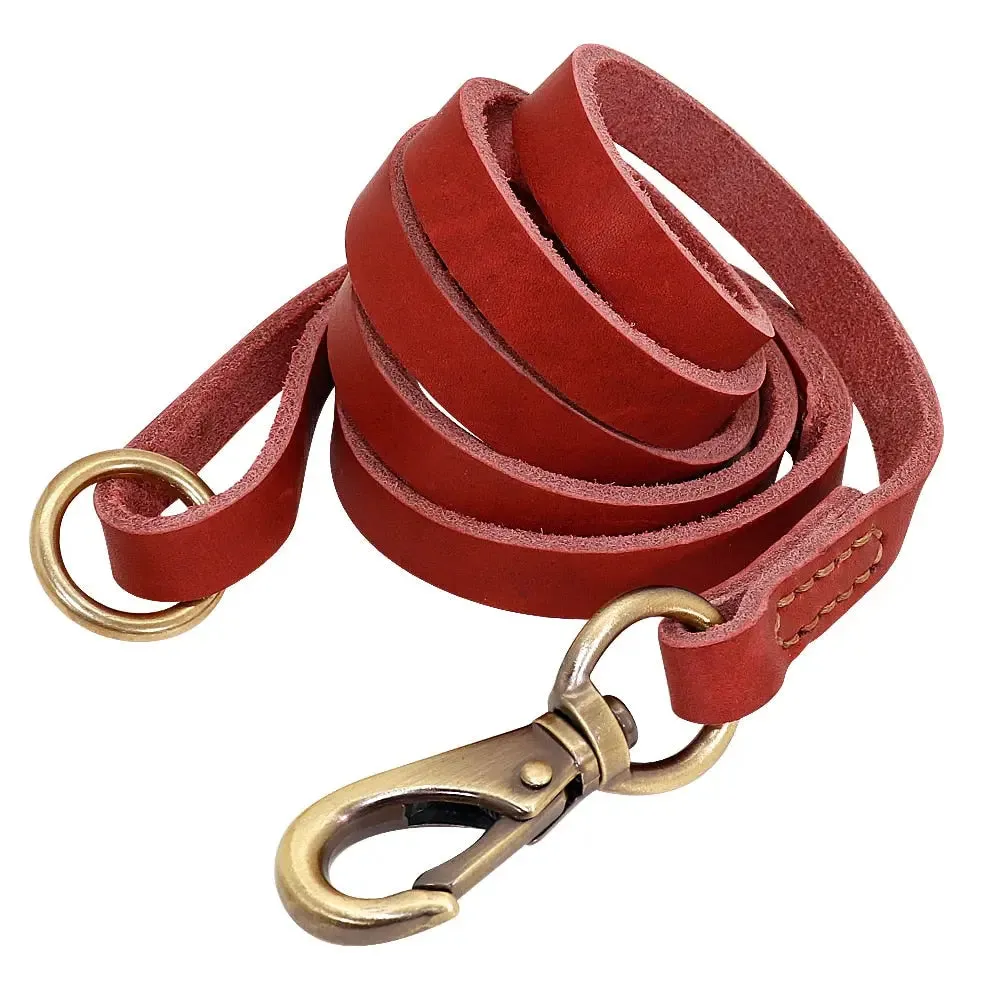 Dog Leather Leash - Set of Custom Leather Collar w/ Gold Name Tag