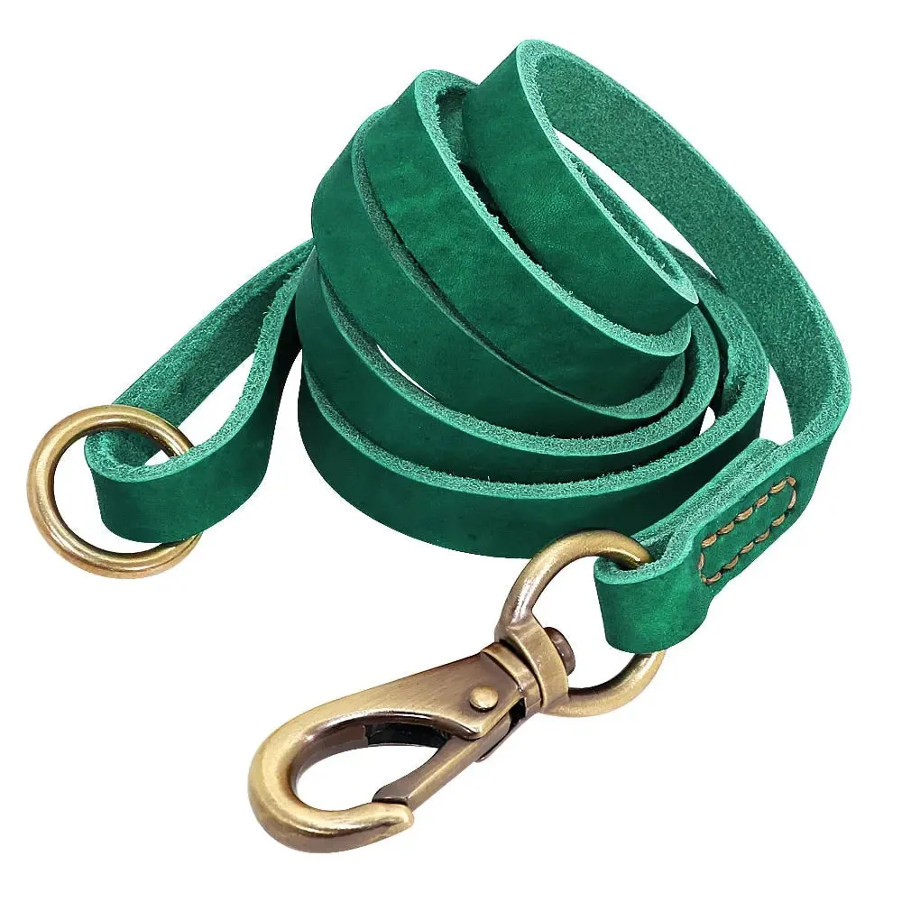 Dog Leather Leash - Set of Custom Leather Collar w/ Gold Name Tag