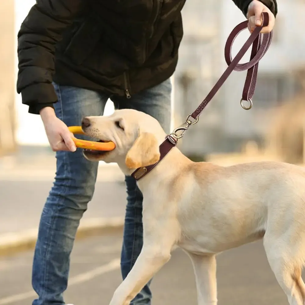 Dog Leather Leash - Set of Custom Leather Collar w/ Gold Name Tag