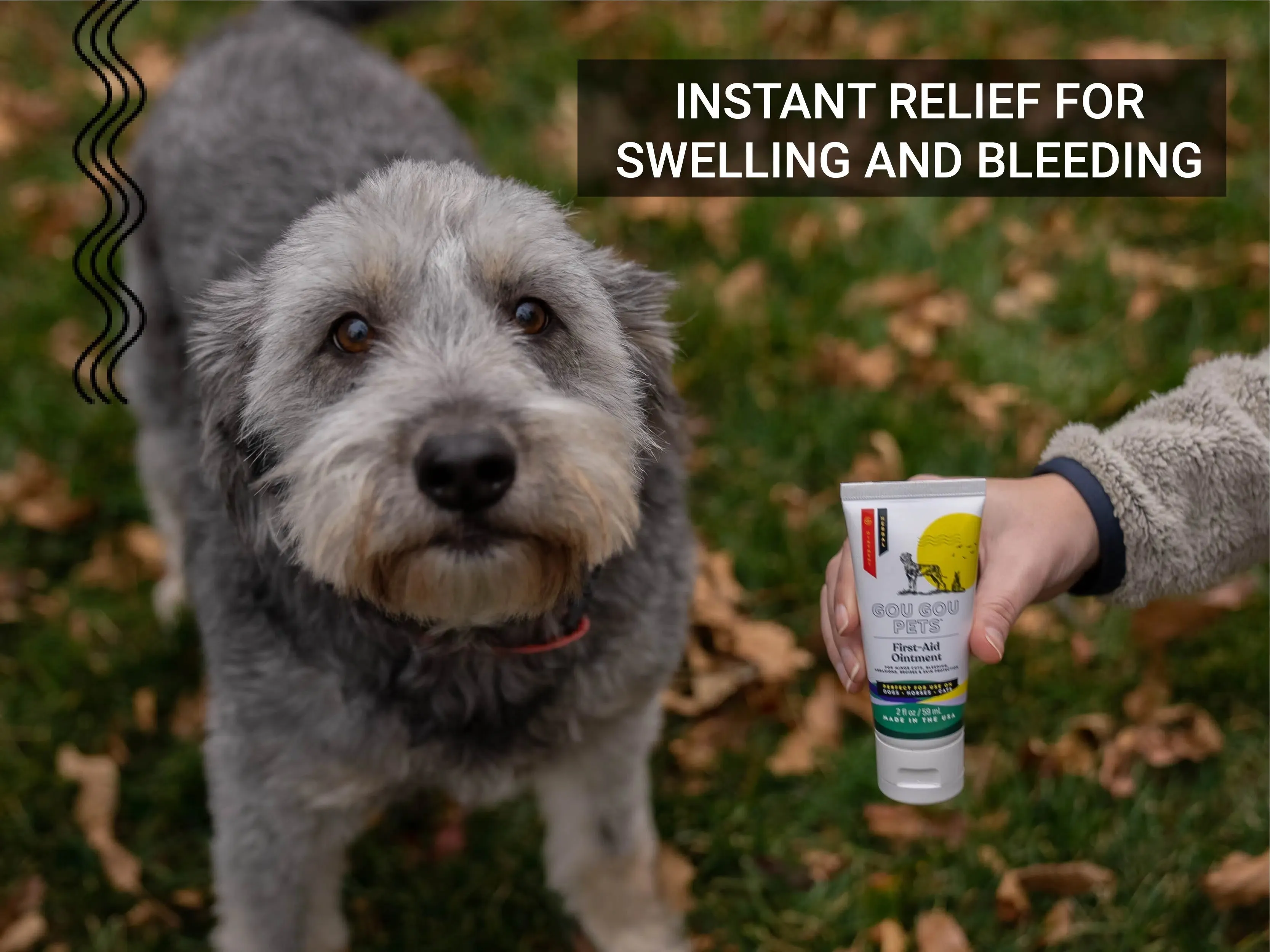 First Aid Ointment For Cats & Dogs - For Minor Cuts, Bleeding & Bruises