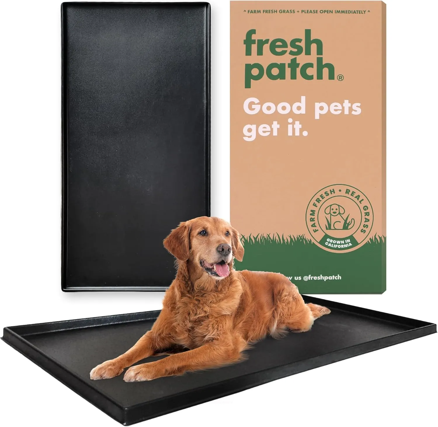 Fresh Patch Plastic Tray for XL Real Grass Pee and Potty Training Pads for Large Dogs and Multi-Dog Households  4 ft x 2 ft Multi-Purpose and Reusable Crate Tray for Indoor and Outdoor Use