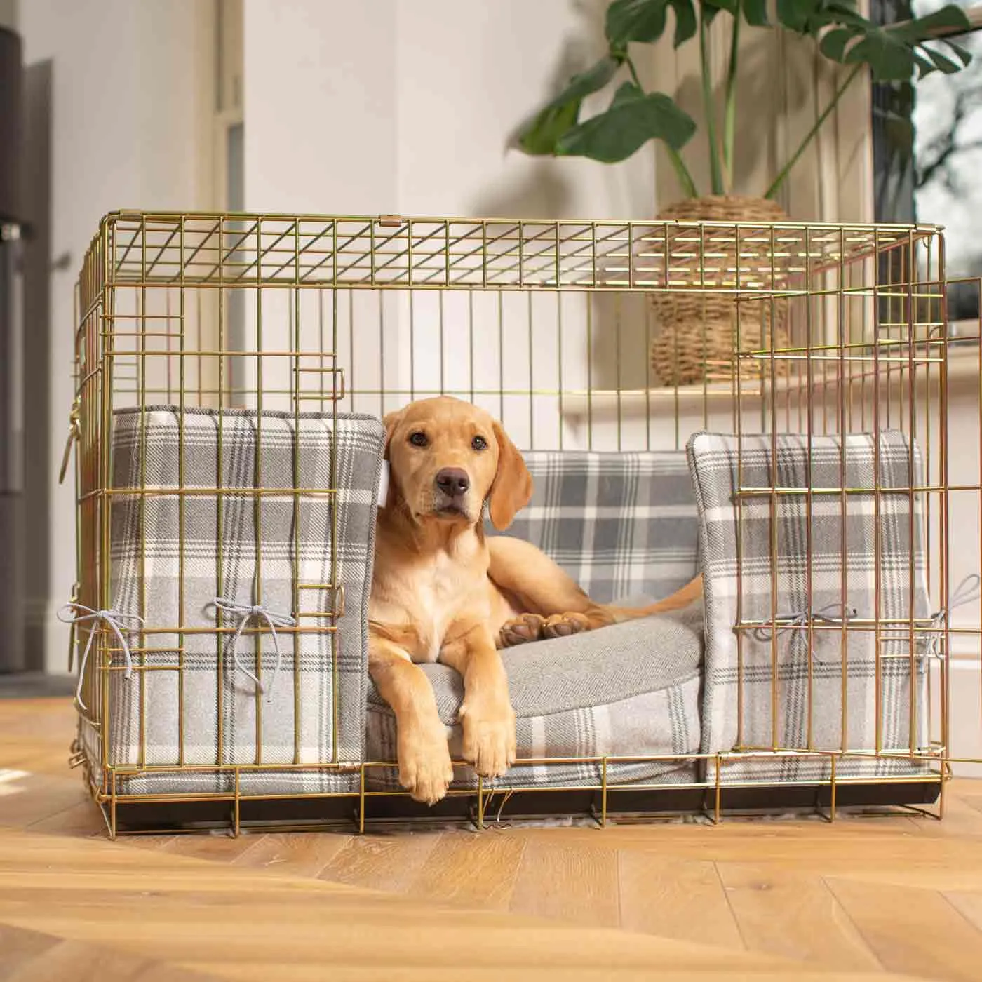 Gold Dog Crate with Cushion & Bumper in Balmoral Dove Grey Tweed by Lords & Labradors