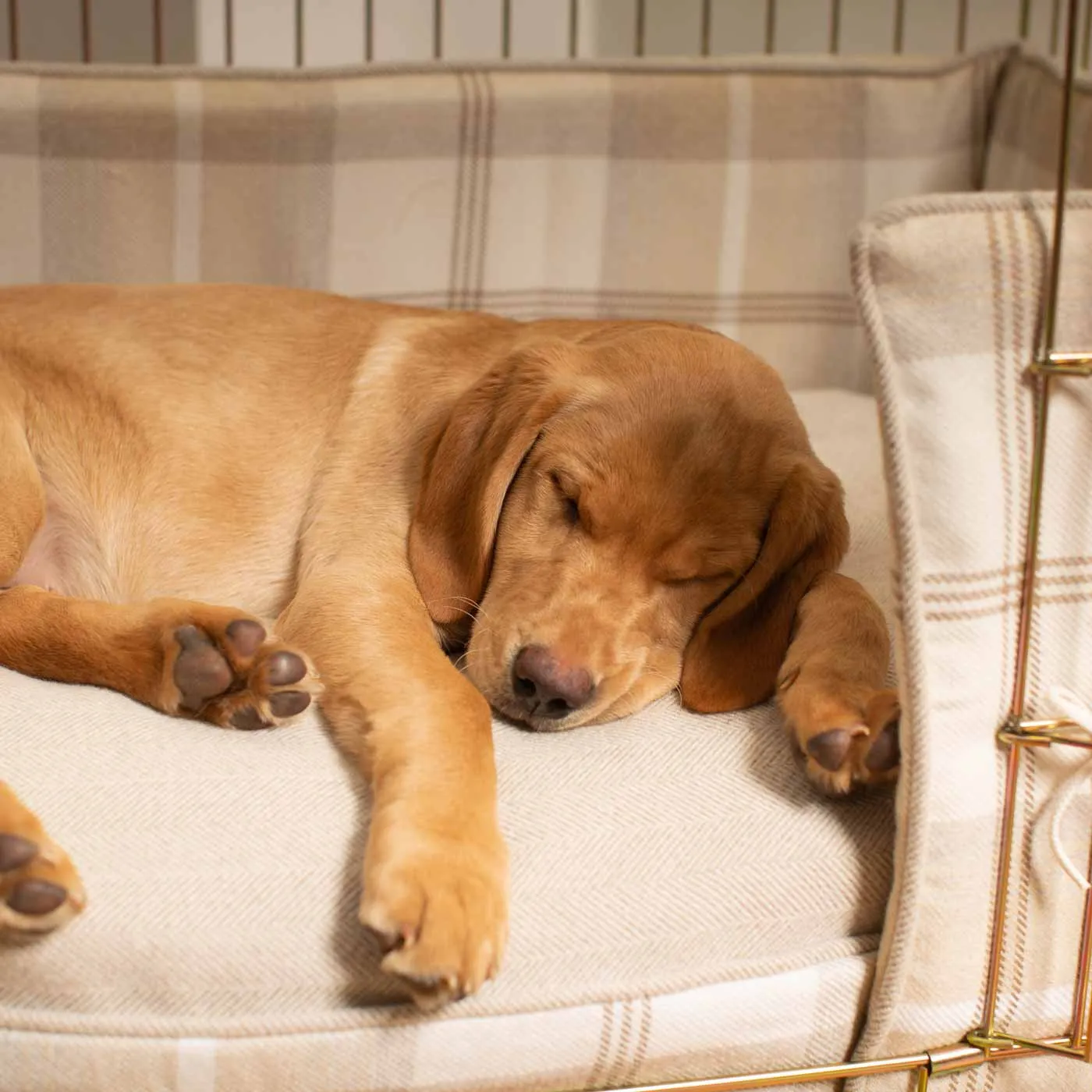 Gold Dog Crate with Cushion & Bumper in Balmoral Natural Tweed by Lords & Labradors