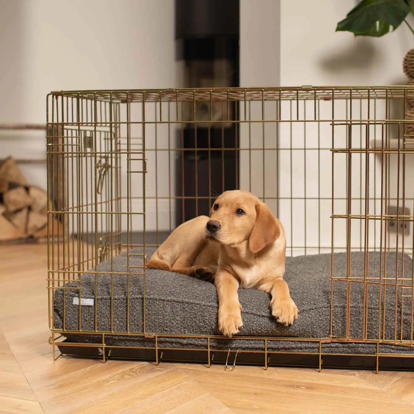 Gold Dog Crate with Cushion in Bouclé by Lords & Labradors