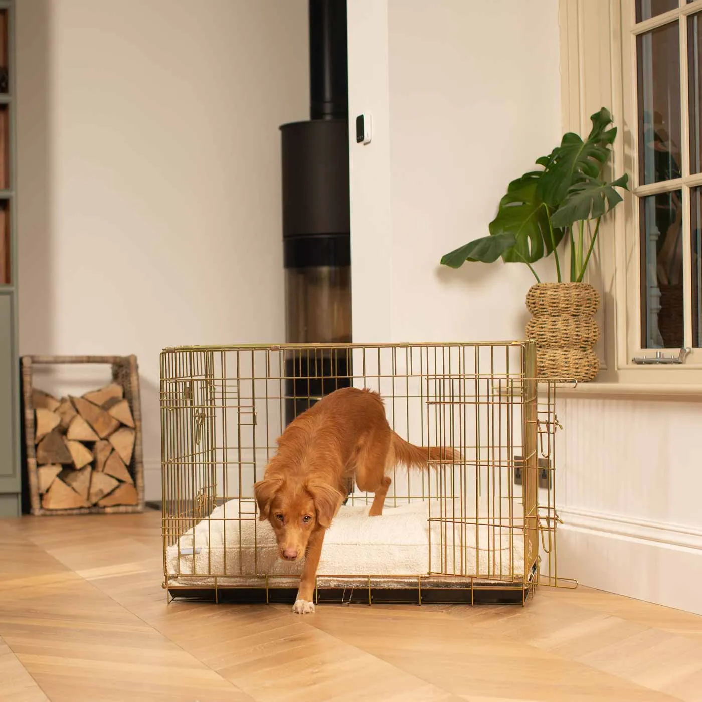 Gold Dog Crate with Cushion in Bouclé by Lords & Labradors