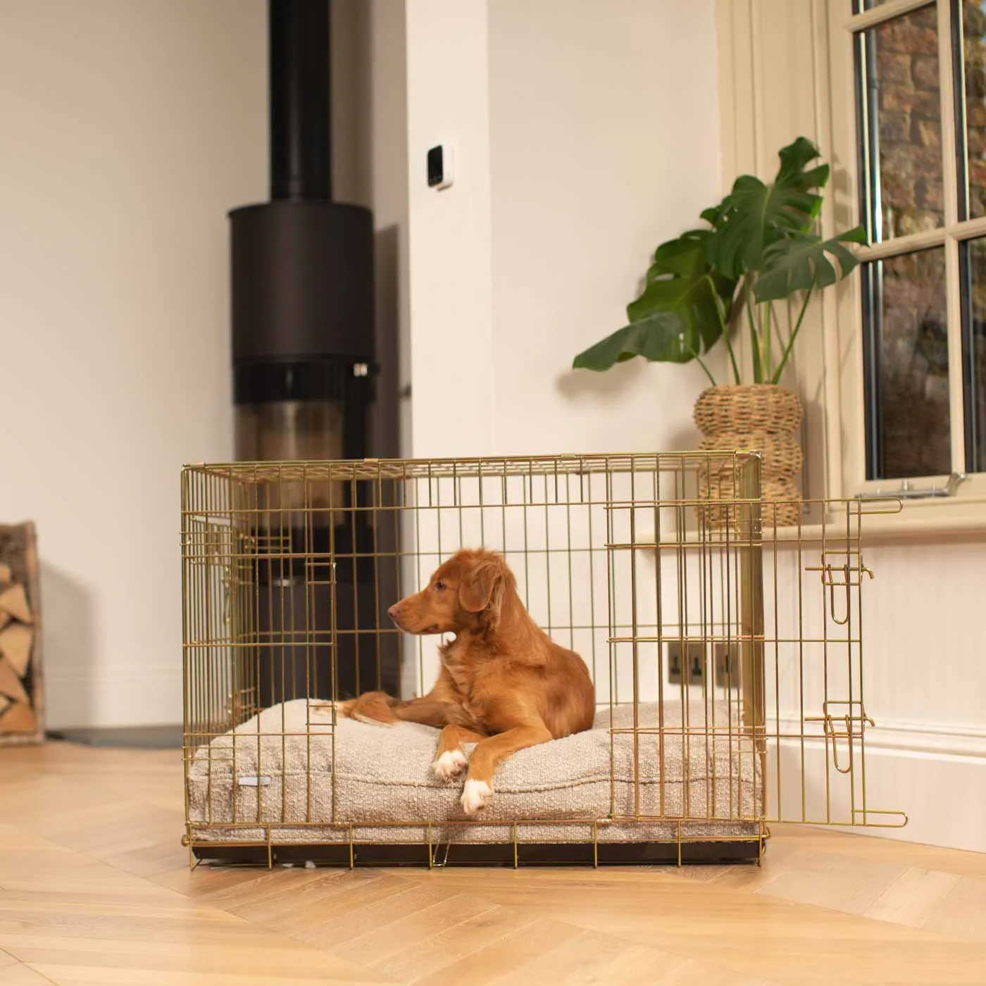 Gold Dog Crate with Cushion in Bouclé by Lords & Labradors