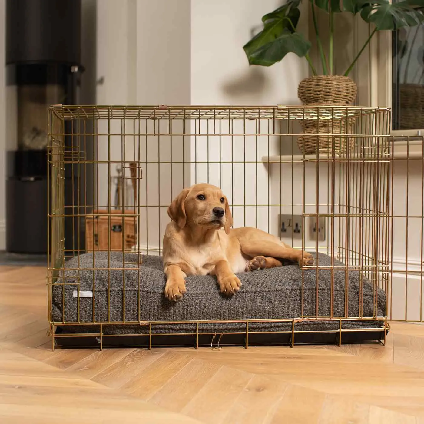 Gold Dog Crate with Cushion in Bouclé by Lords & Labradors