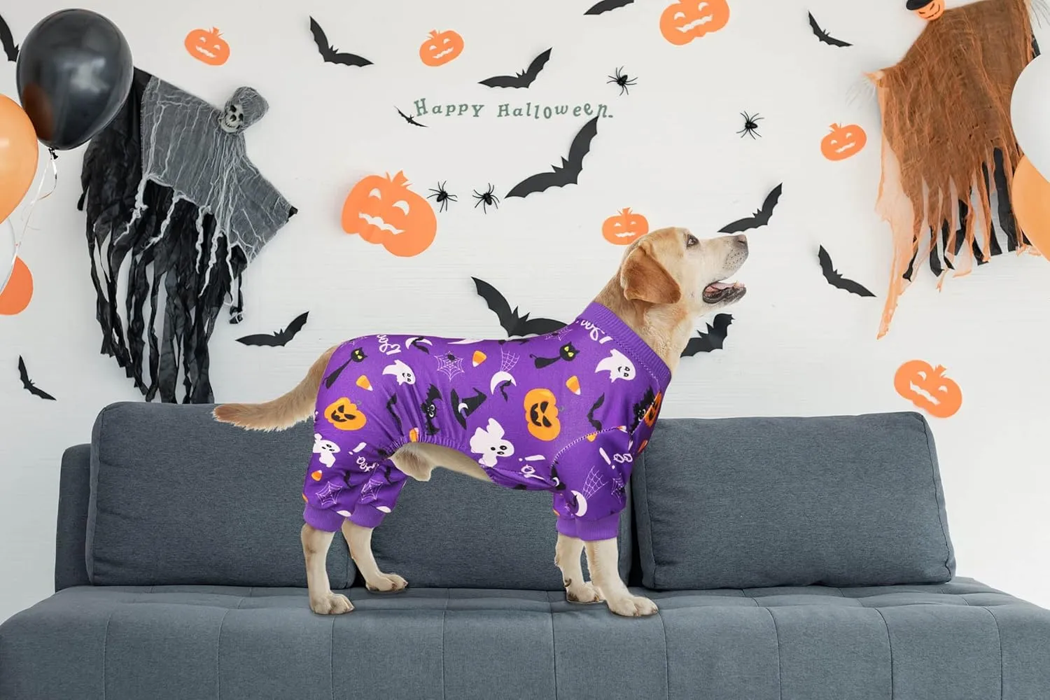 Holiday Dog Pajamas - Funny Christmas & Halloween Costumes for Girls & Dogs