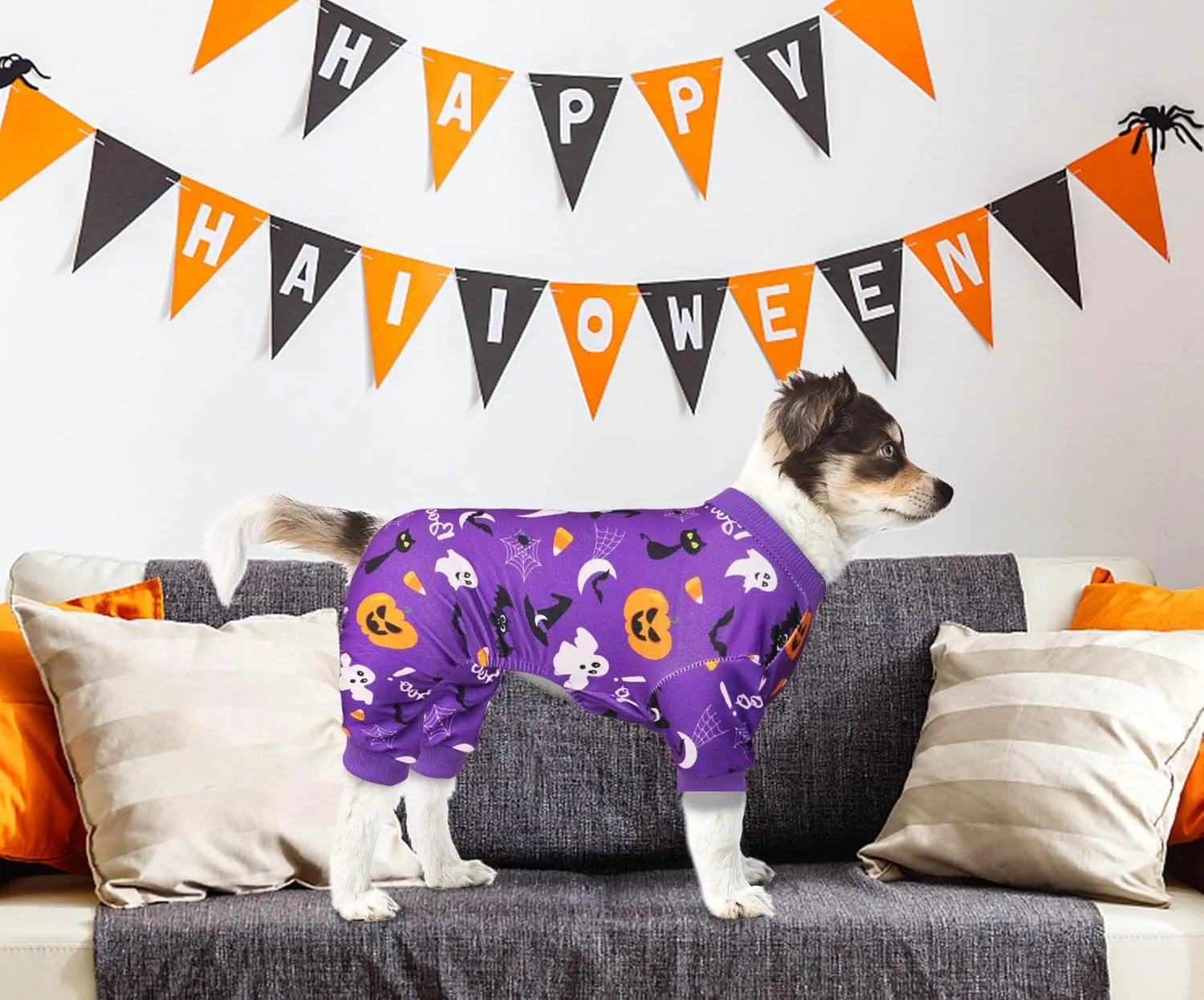 Holiday Dog Pajamas - Funny Christmas & Halloween Costumes for Girls & Dogs