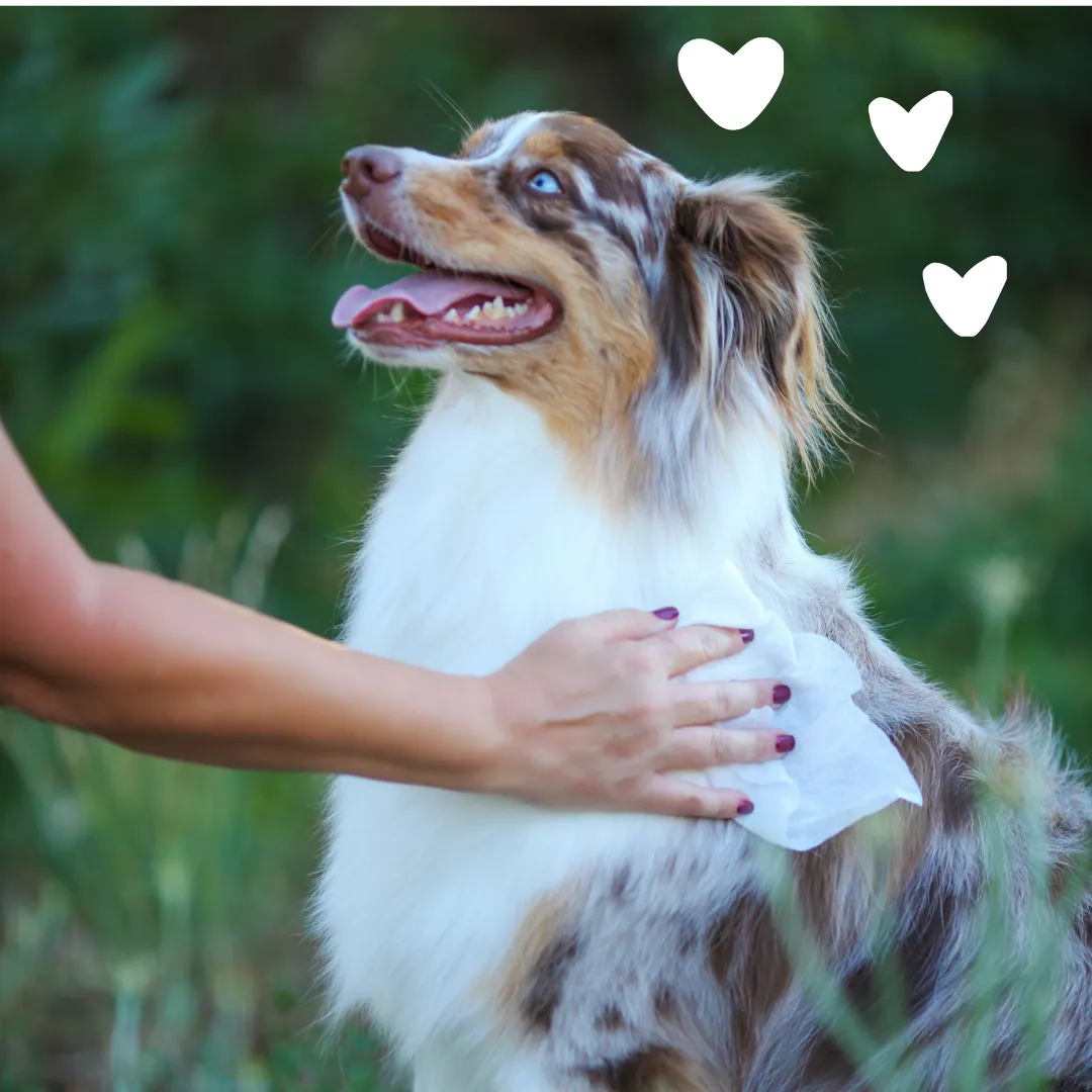 Hypoallergenic Grooming Wipes