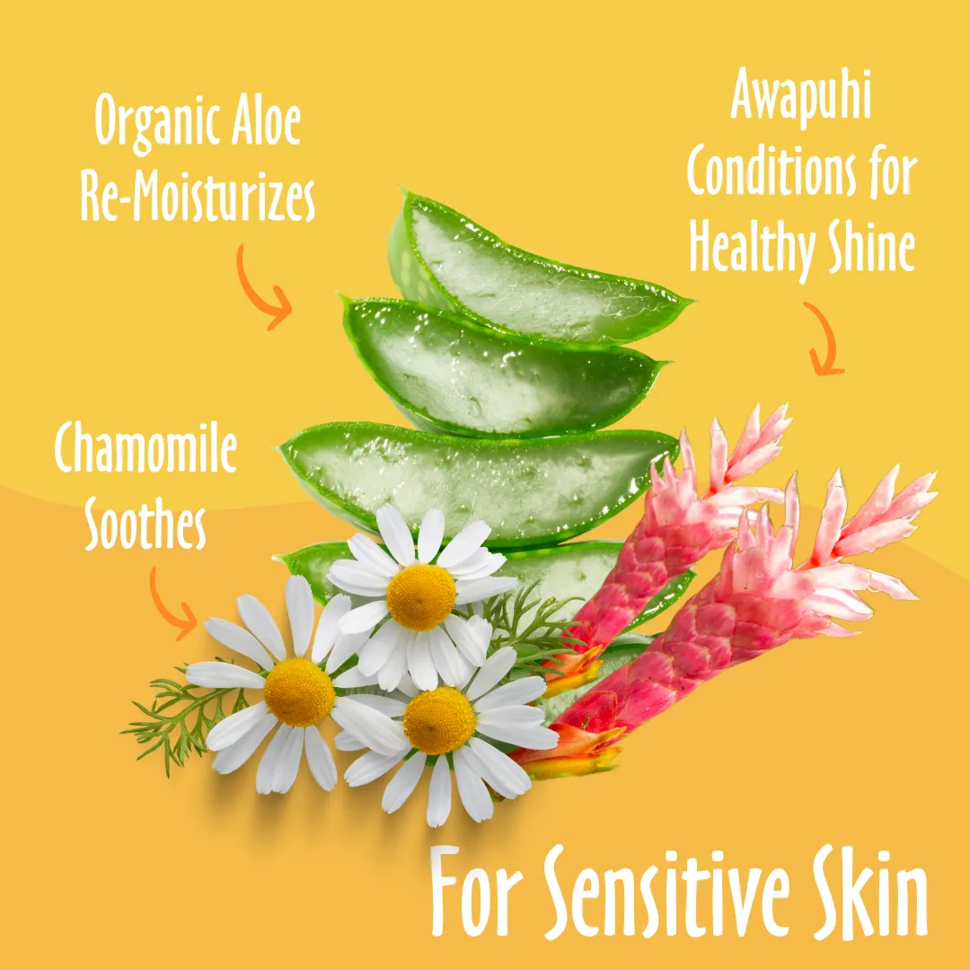 Hypoallergenic Grooming Wipes