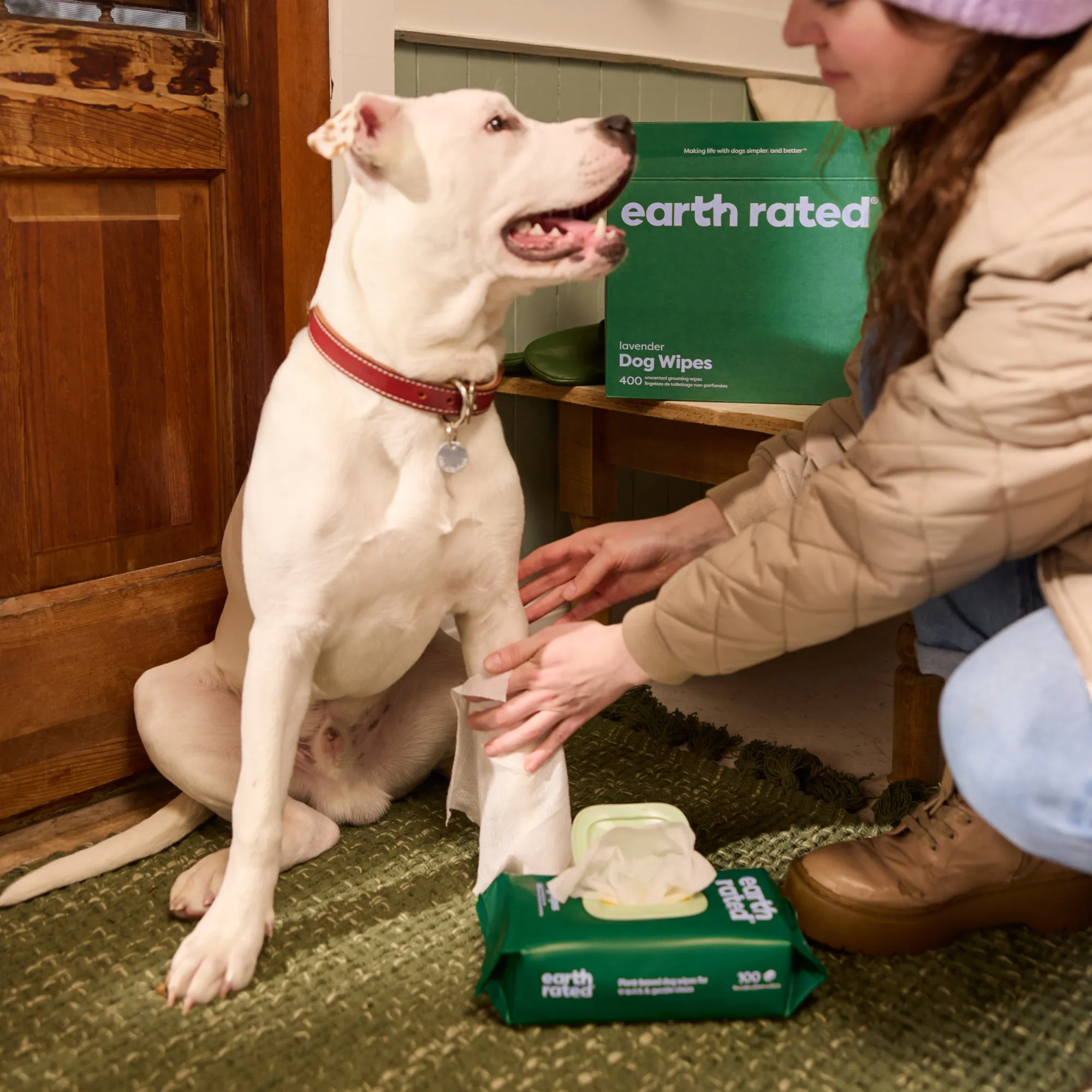 Large Dog Grooming Wipes
