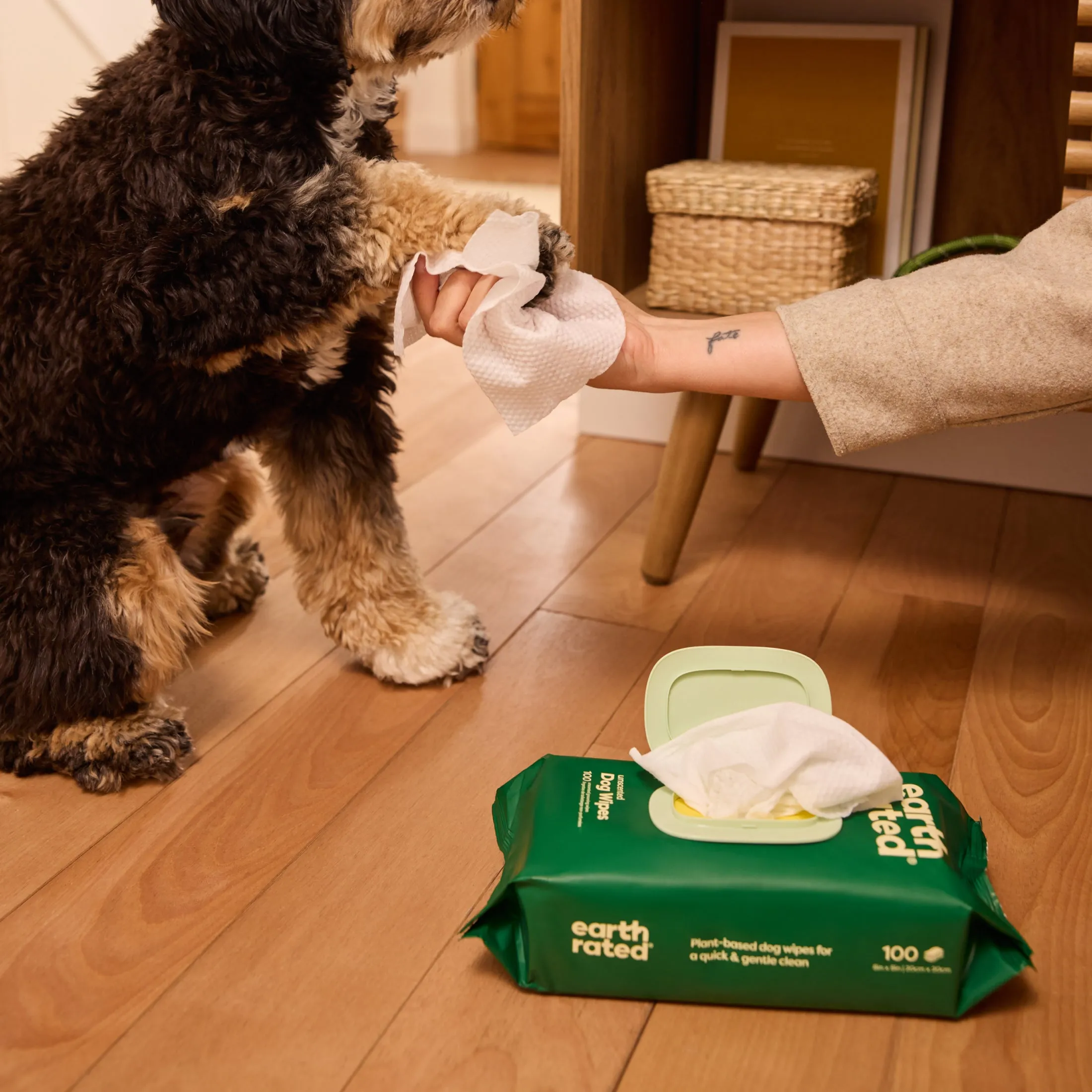 Large Dog Grooming Wipes