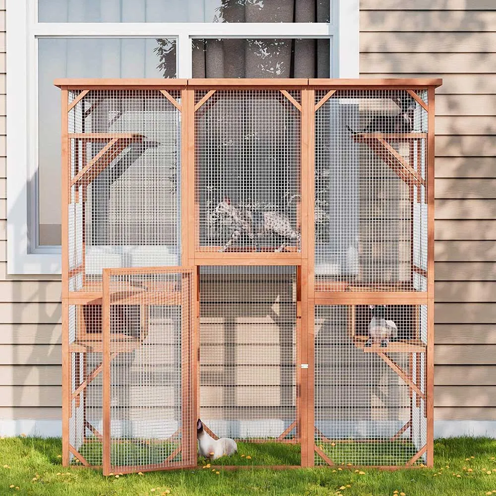 Large Outdoor Cat House