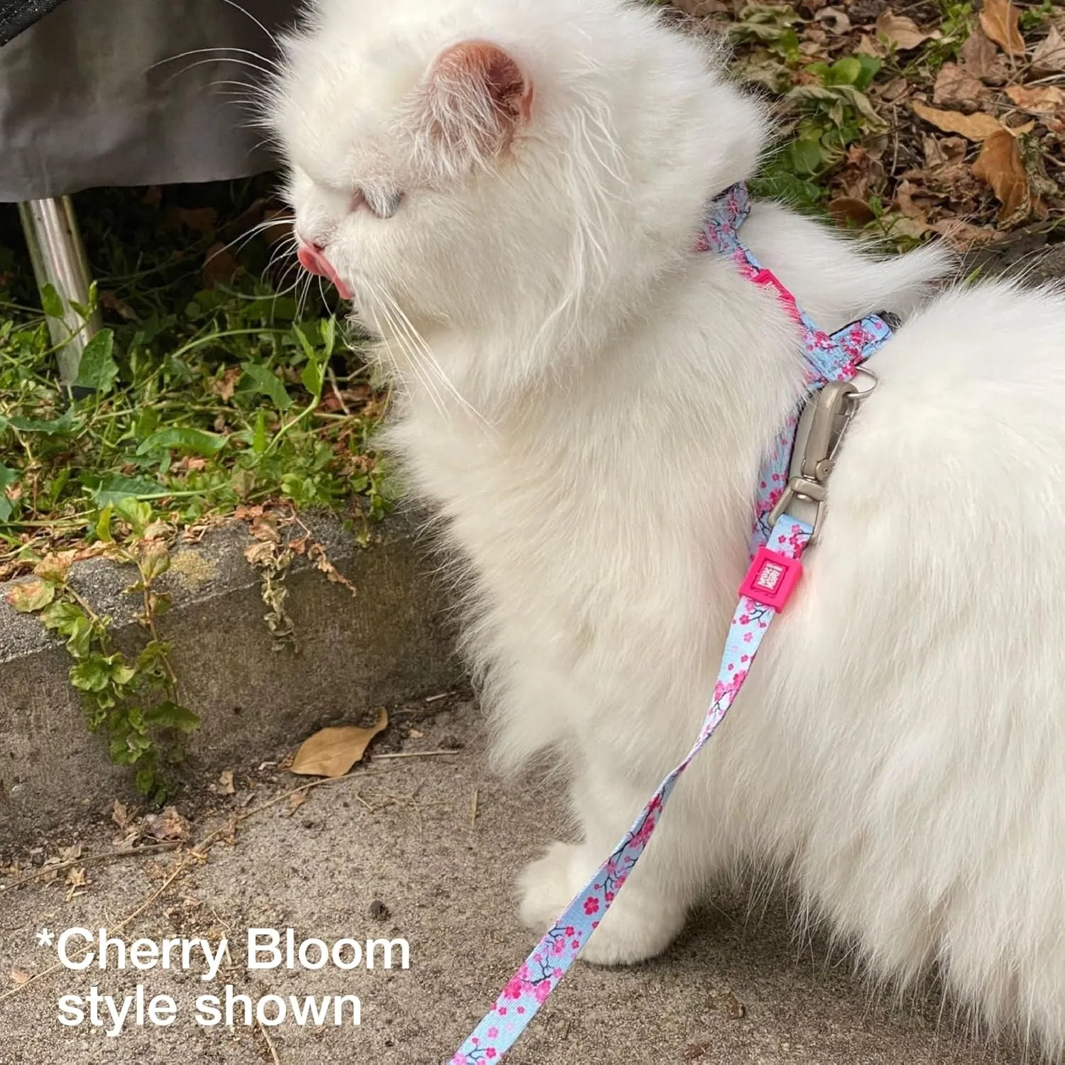 Max and Molly Adjustable Cat Harness and Leash Set - Escape-Proof Cat Harness with Leash for Outdoor Walking and Exploring, Soft Padded Double Stitched Fabric (Tropical)