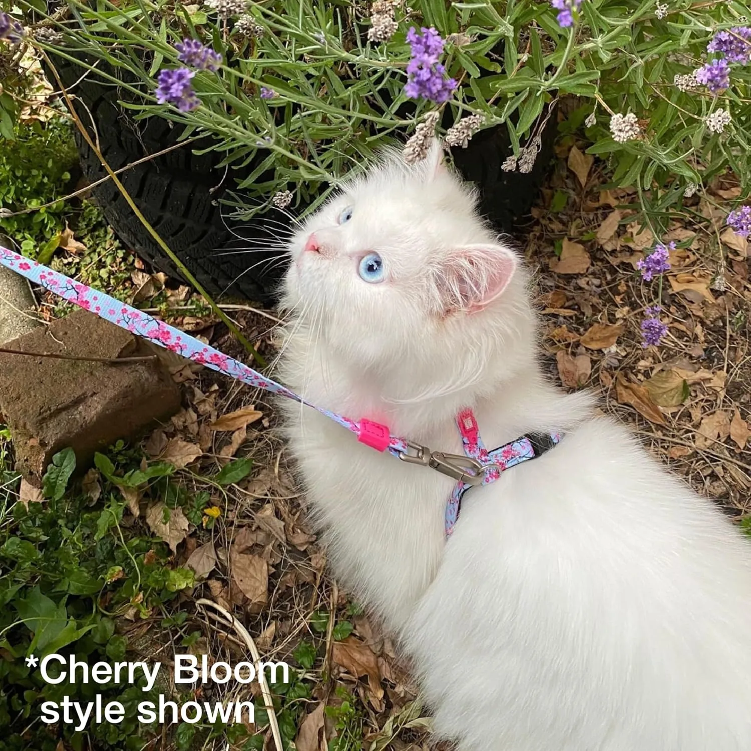 Max and Molly Adjustable Cat Harness and Leash Set - Escape-Proof Cat Harness with Leash for Outdoor Walking and Exploring, Soft Padded Double Stitched Fabric (Tropical)