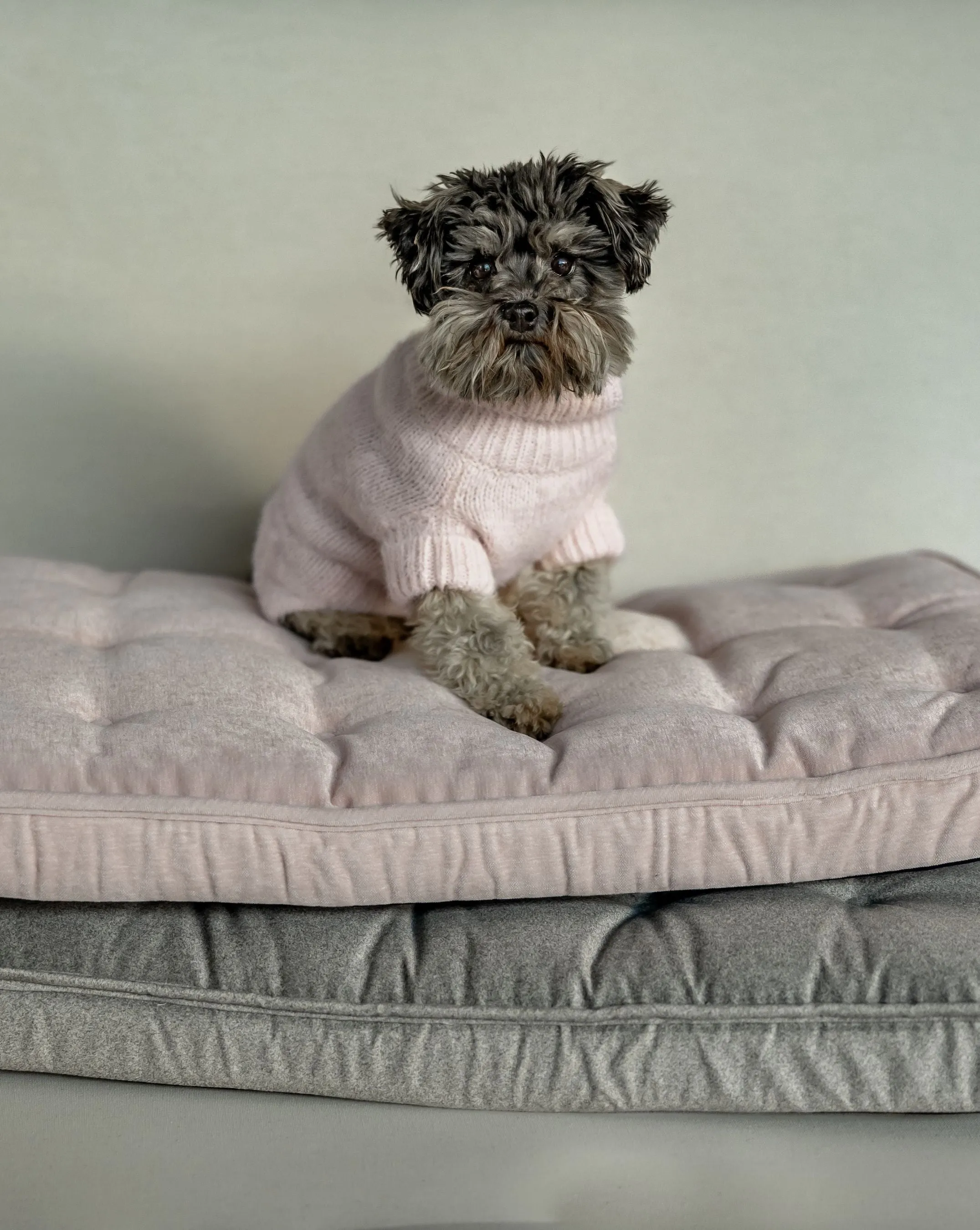 Maxbone Unwind Dog Crate Mat in Grey