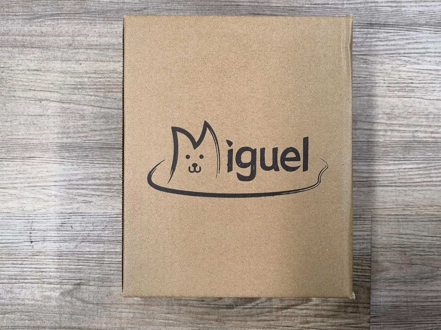 Miguel Cat Bed Self Warming Dog Bed Cat Self Heating Mat for Dog Heating Pad for Dogs House 42 x 28 inch Thermal Dog Crate Pad, Indoor Mat with Removable Washable Cover(Gray,XL)