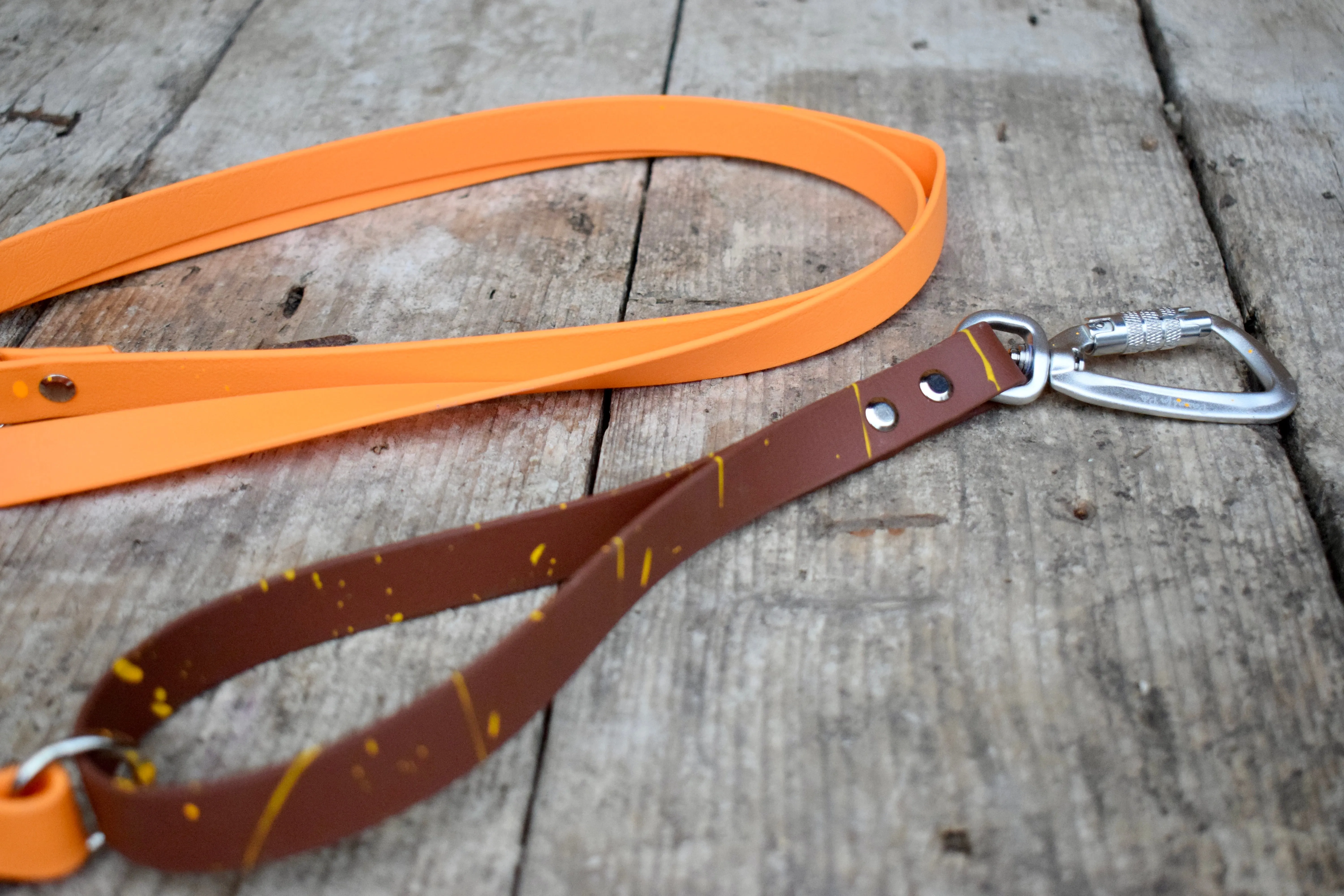 Multifunction Quick Biothane leash