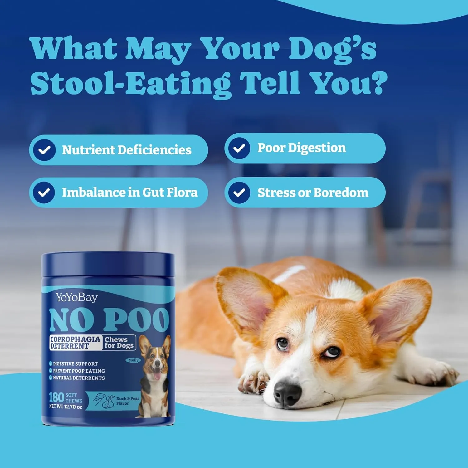 No Poo Chews for Dogs, Coprophagia Deterrent, Stool Eating Deterrent - with Probiotics, Fiber Blend, Natural Deterrent - Digestive Health & Immune Support - 180 Soft Chews, Duck & Pear Flavor