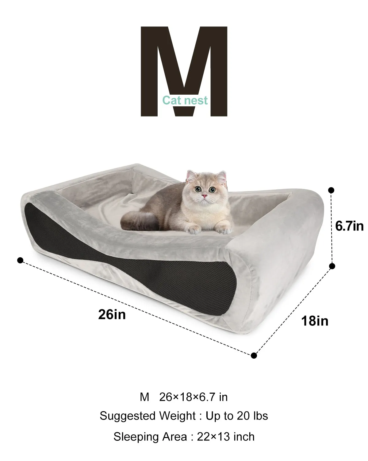 NPET Memory Foam Cat Dog Pet Bed for Small Medium Dogs